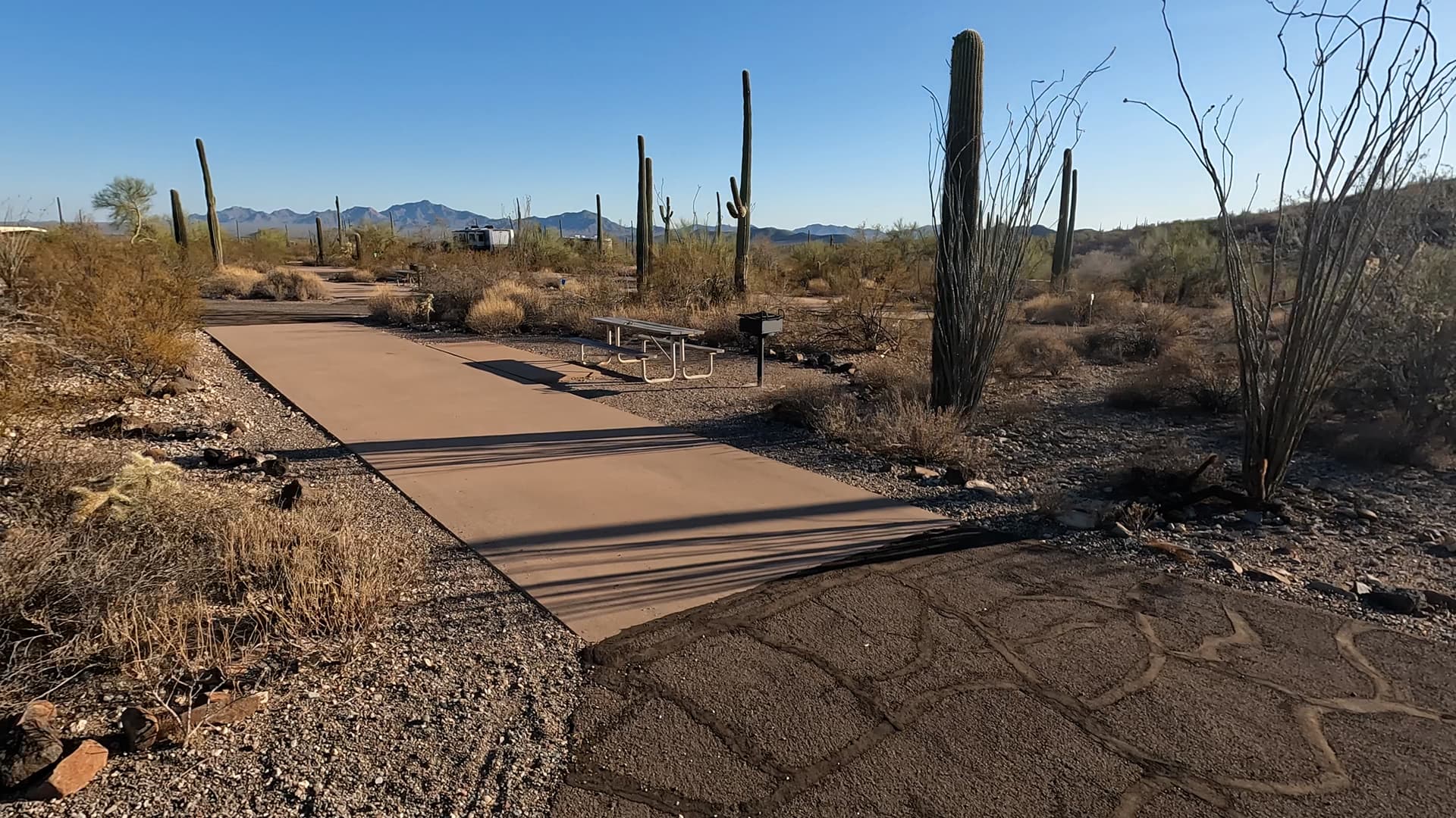 Site 46