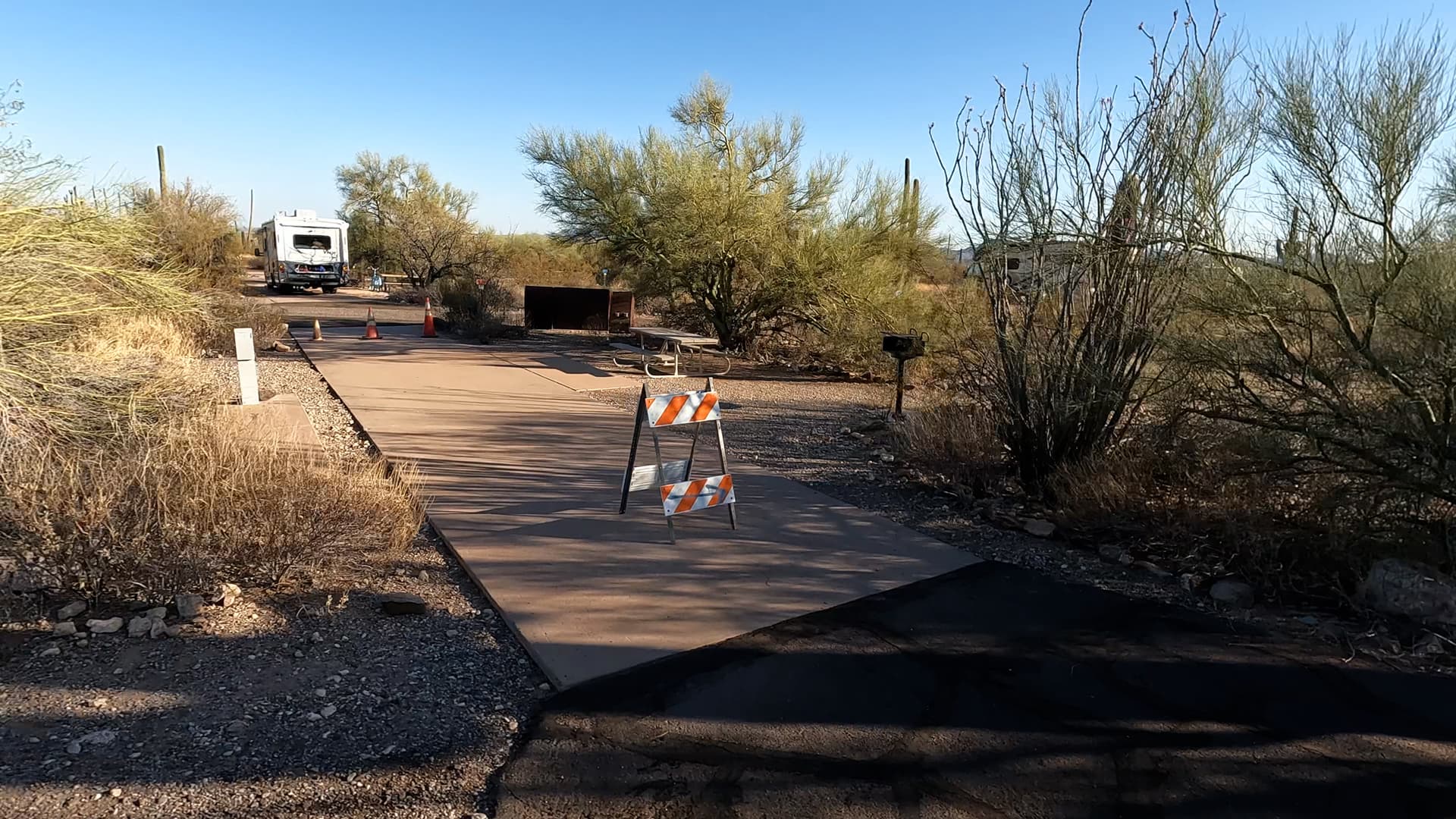 Site 41