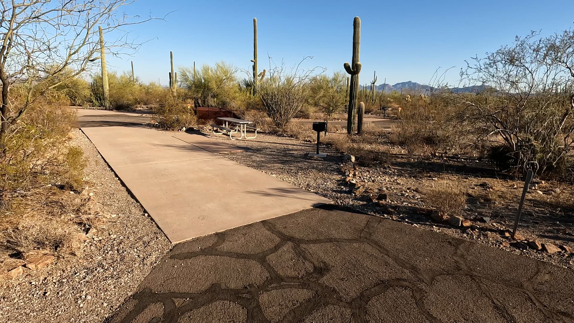 Site 45