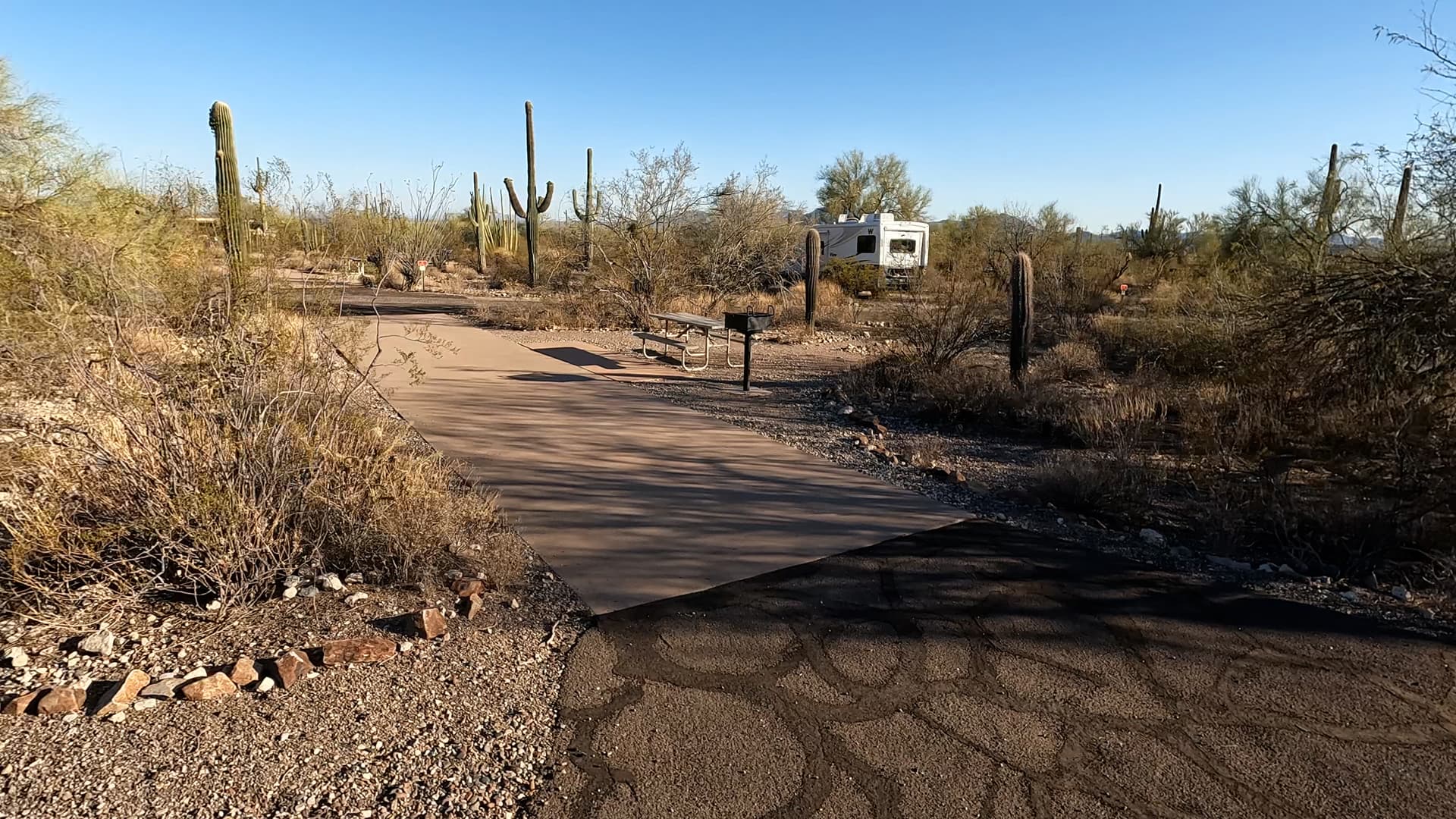 Site 42