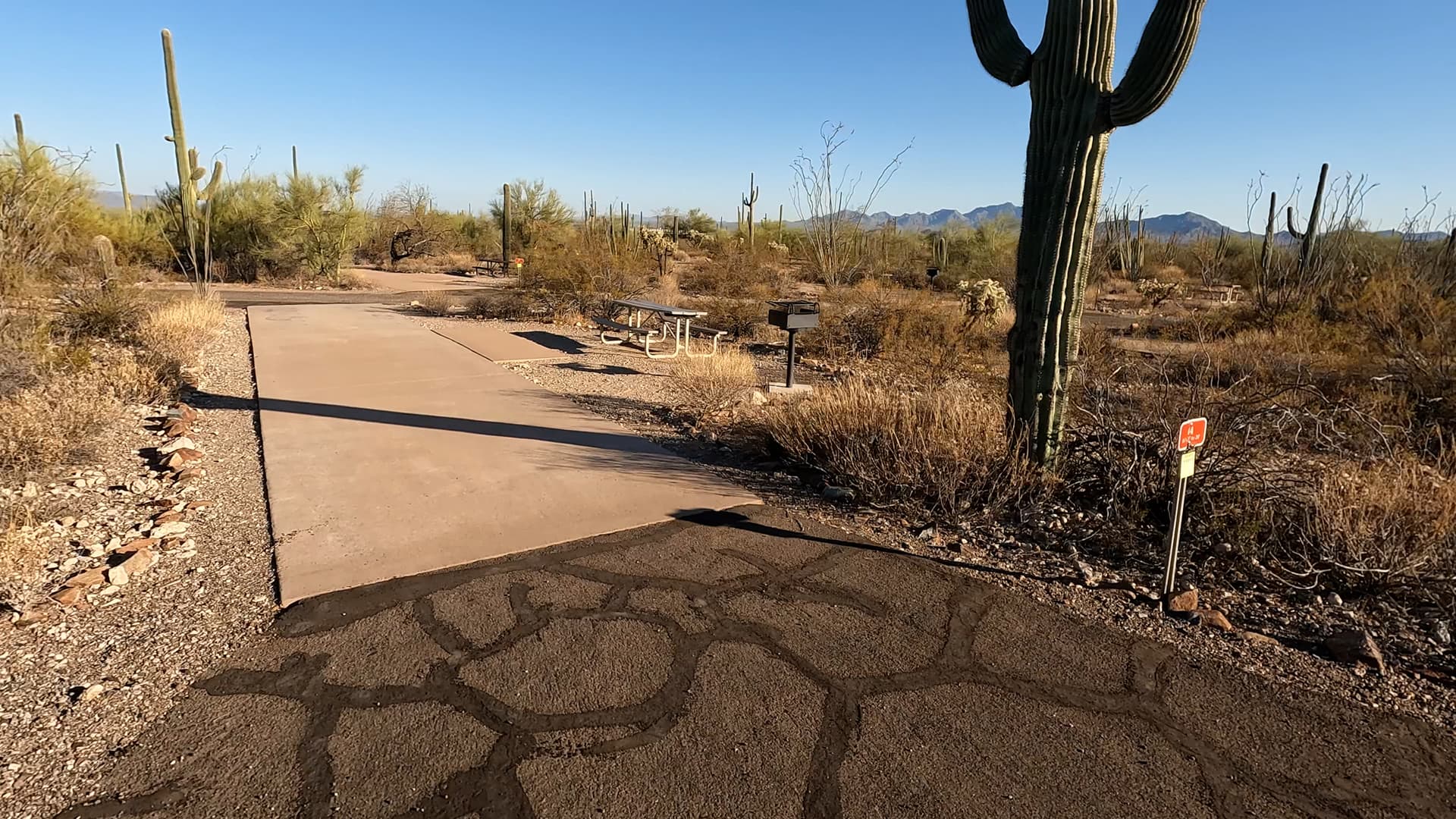 Site 44