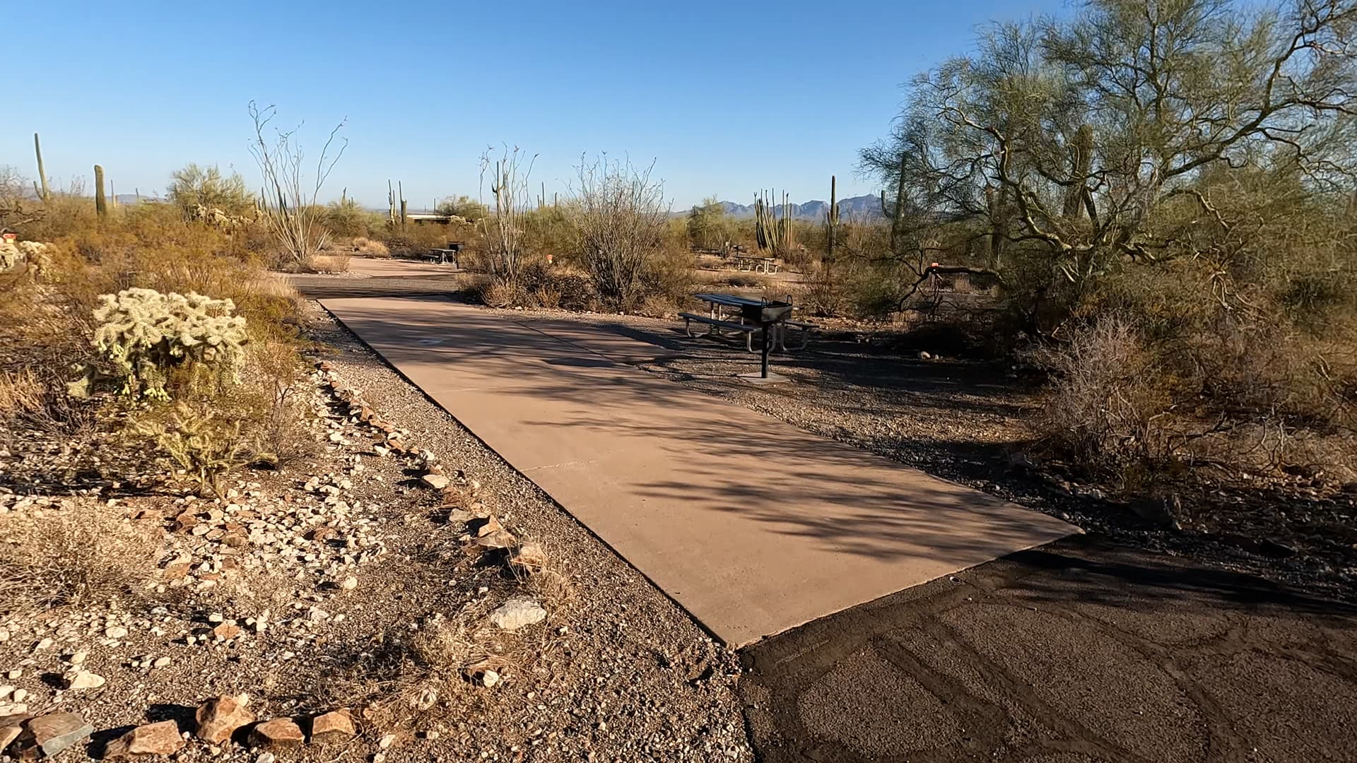 Site 43