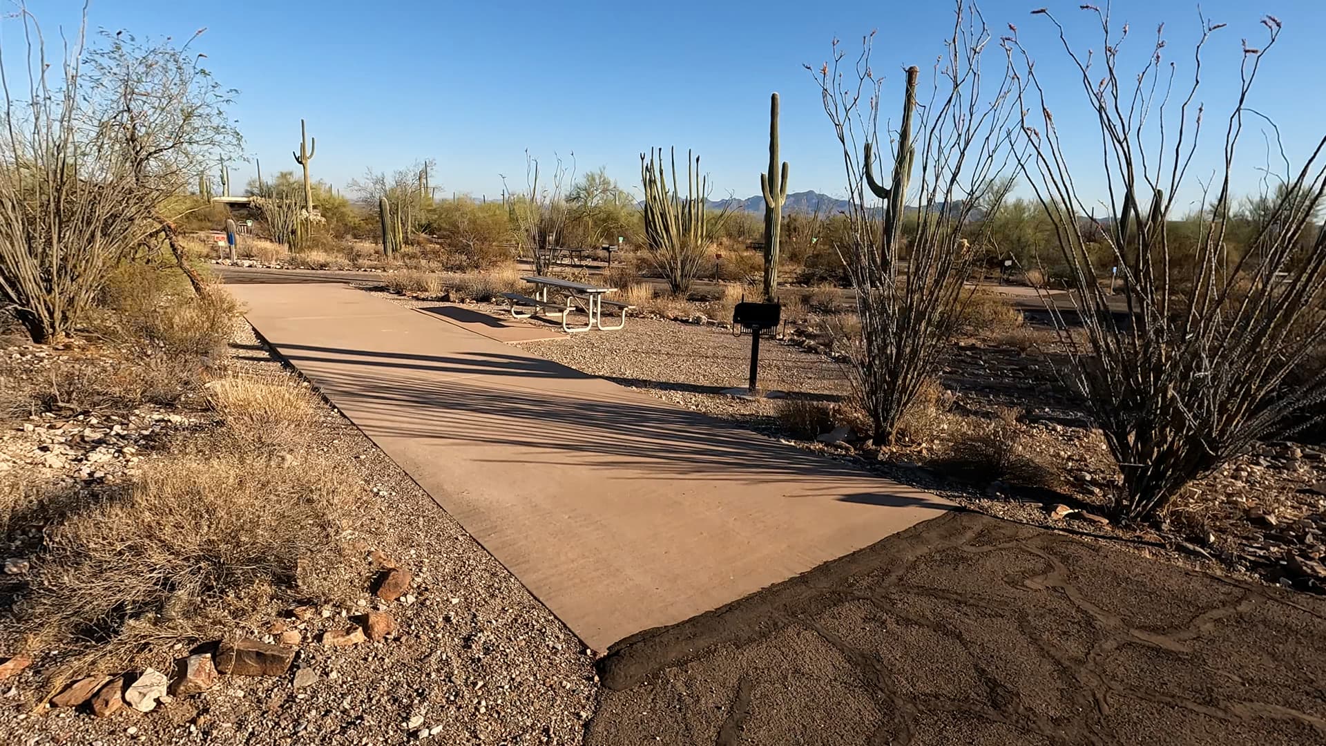 Site 54