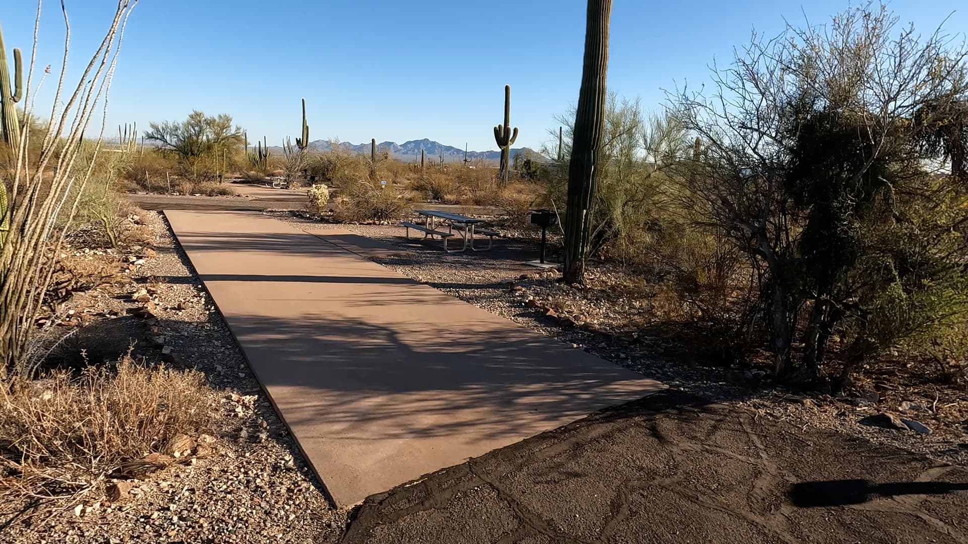 Site 50