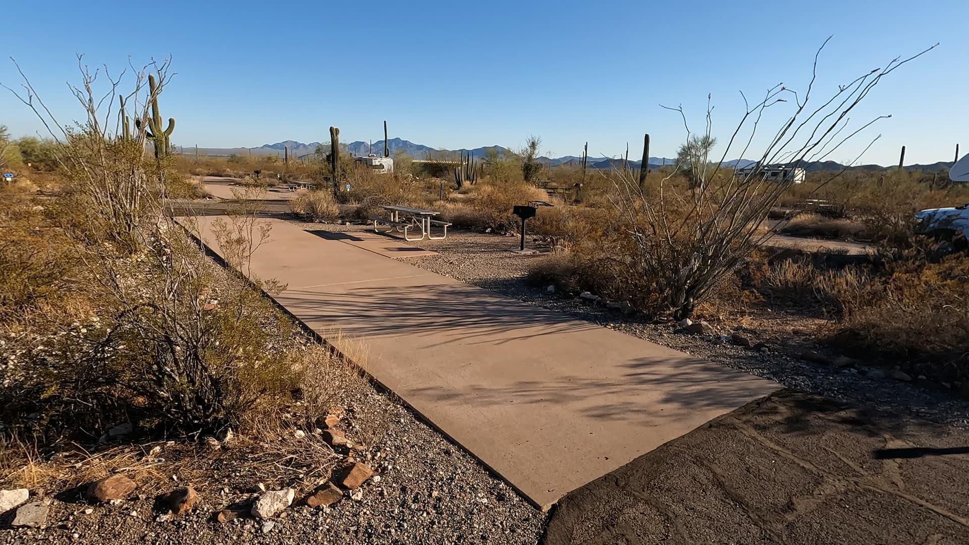 Site 49
