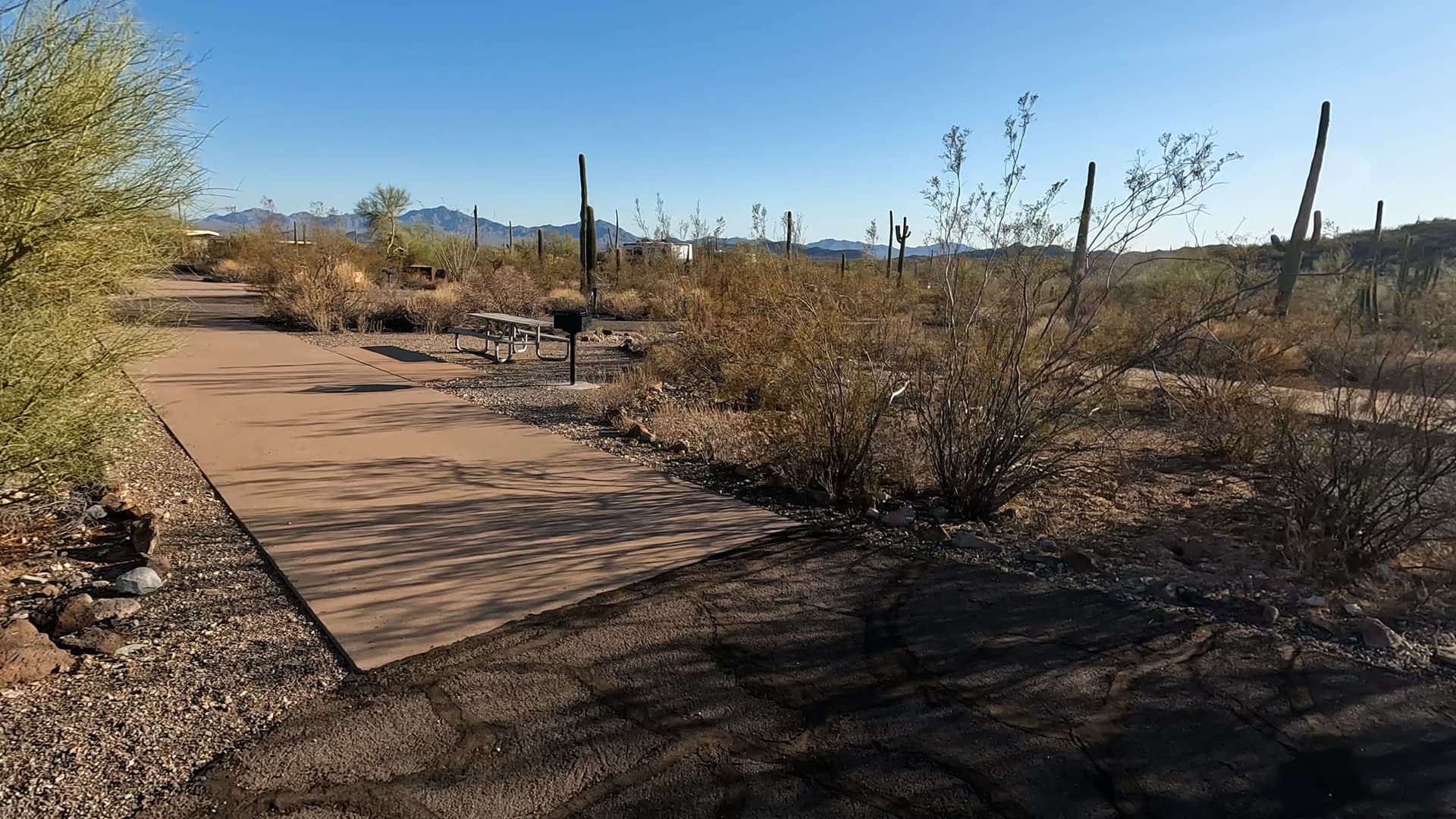 Site 47