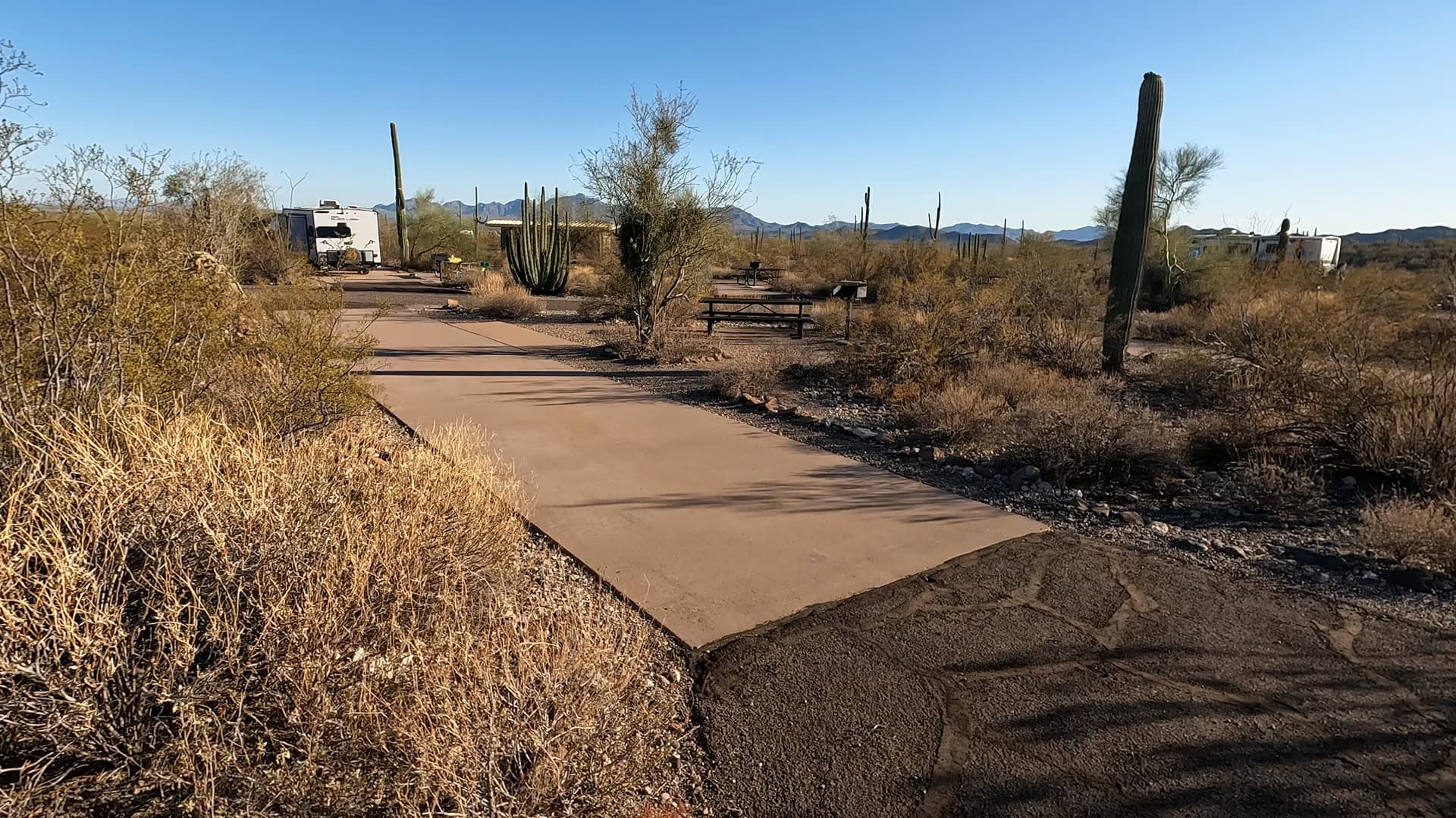 Site 61