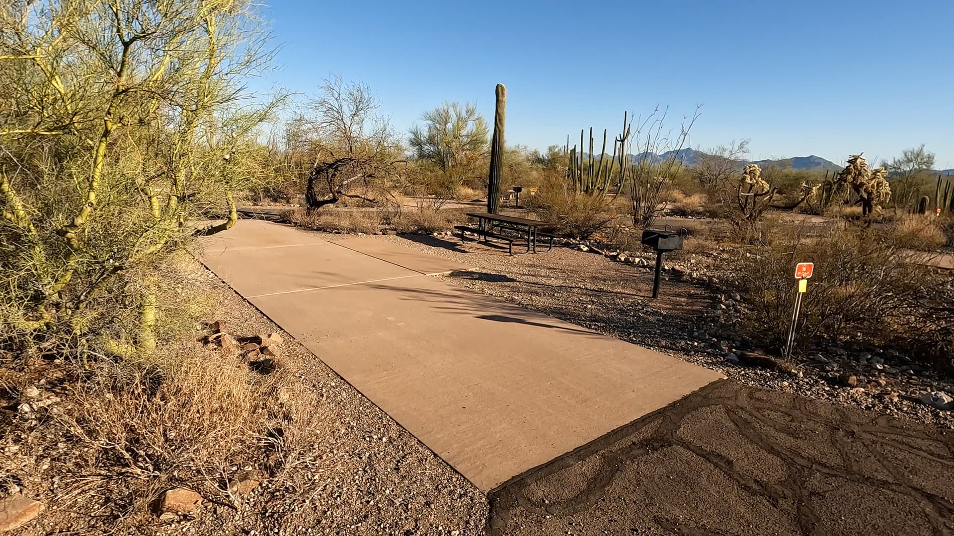 Site 56