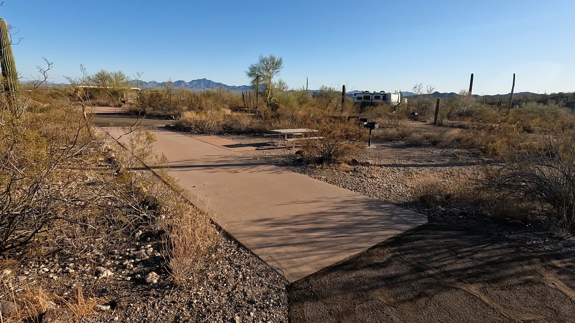 Site 60