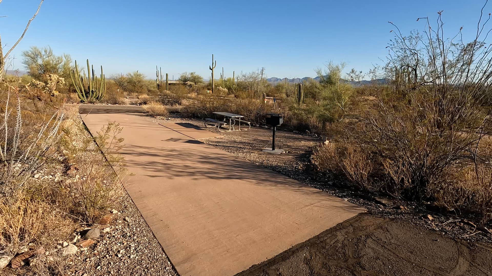 Site 55