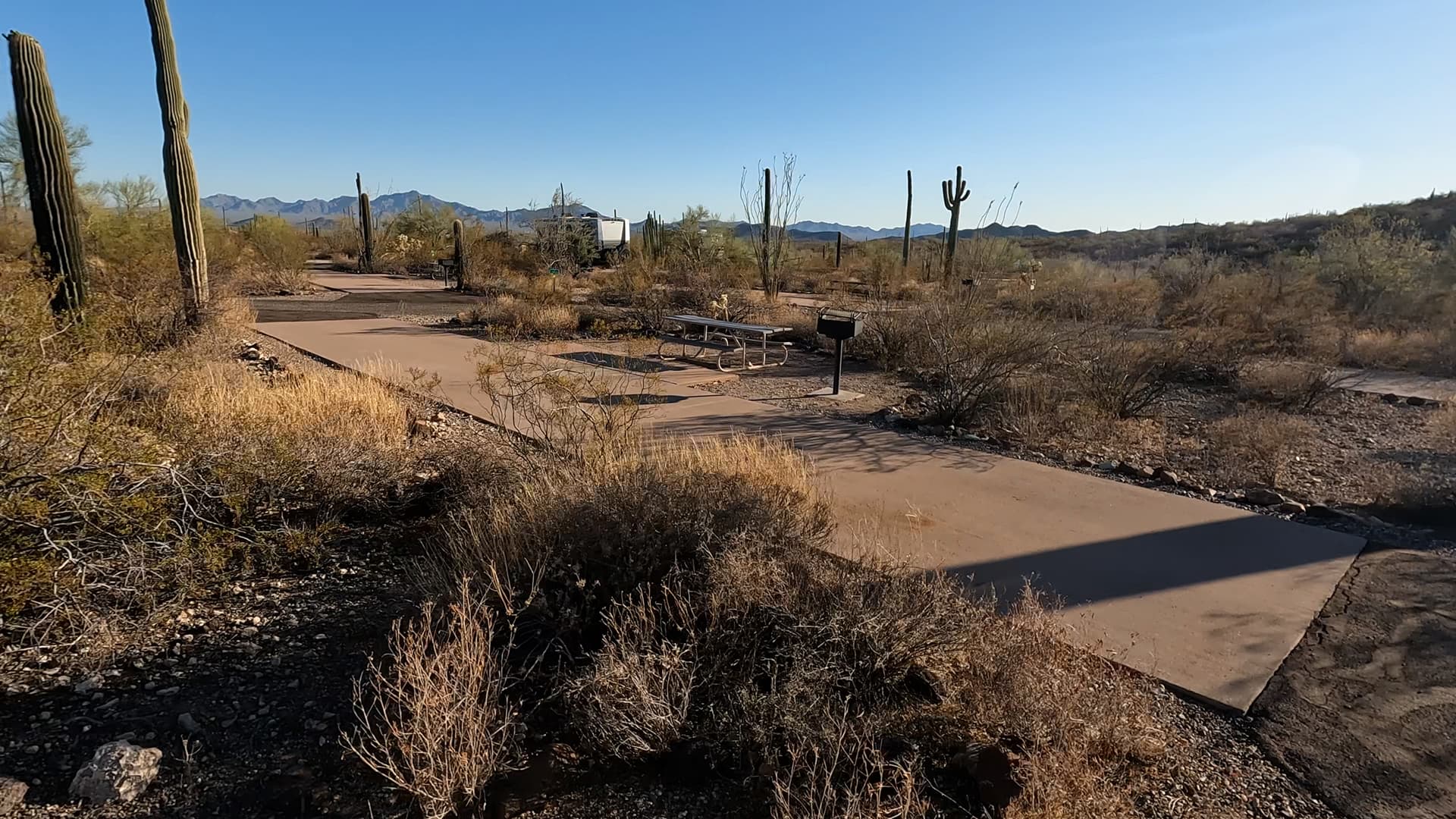Site 59