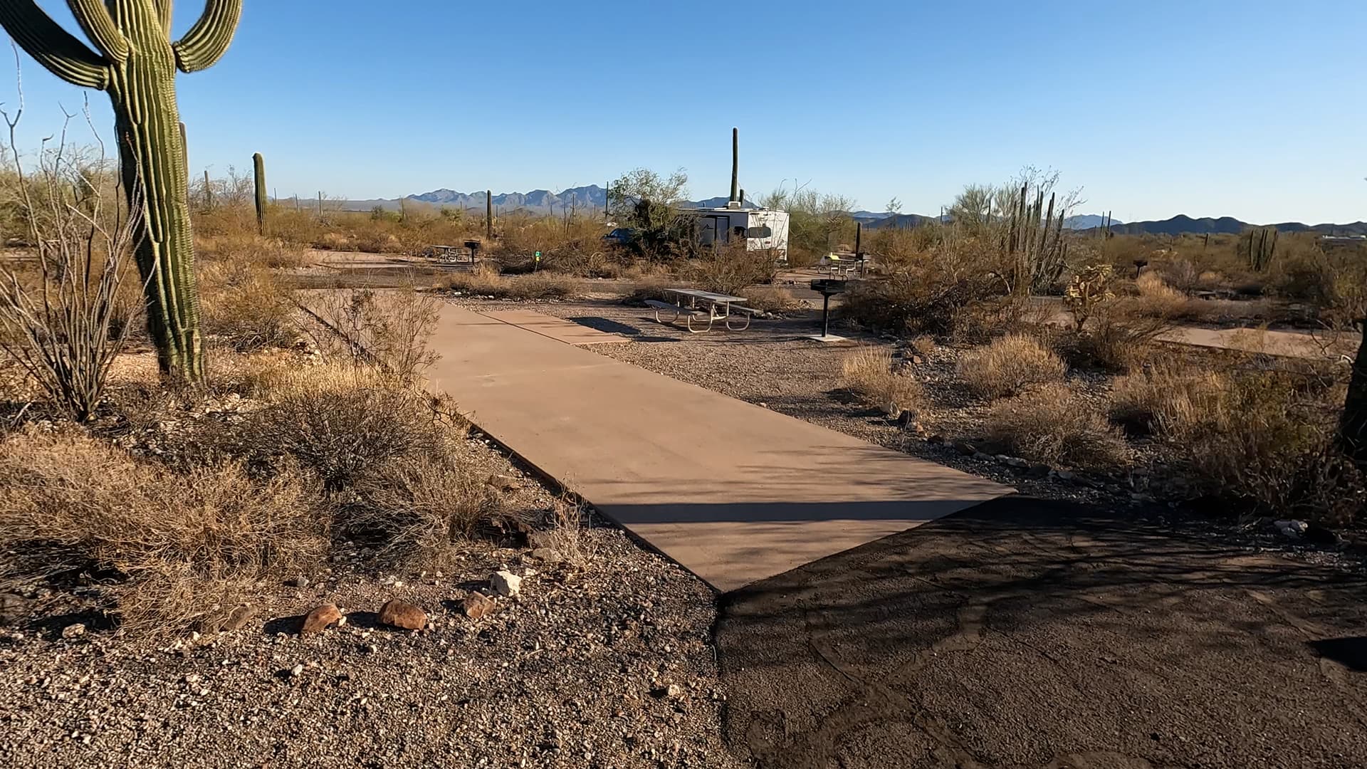 Site 62