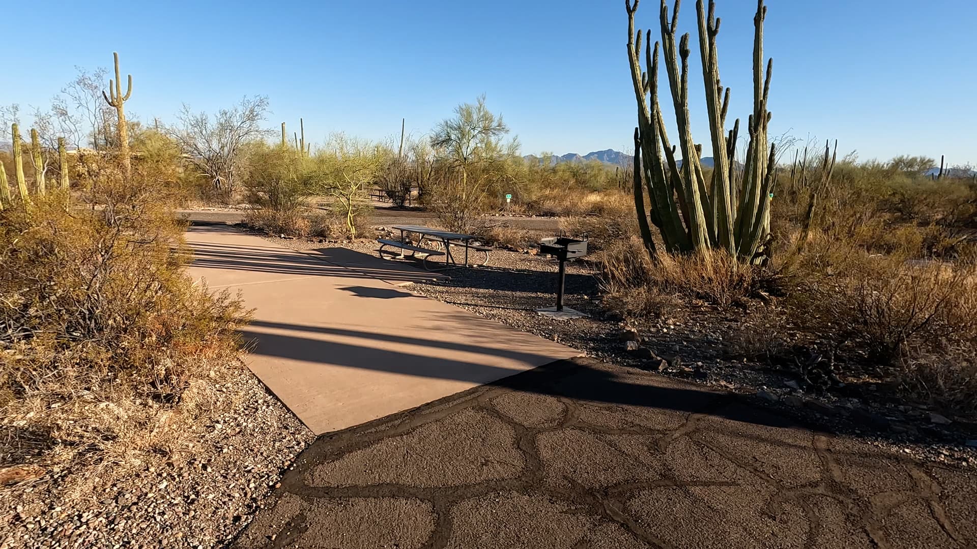 Site 67