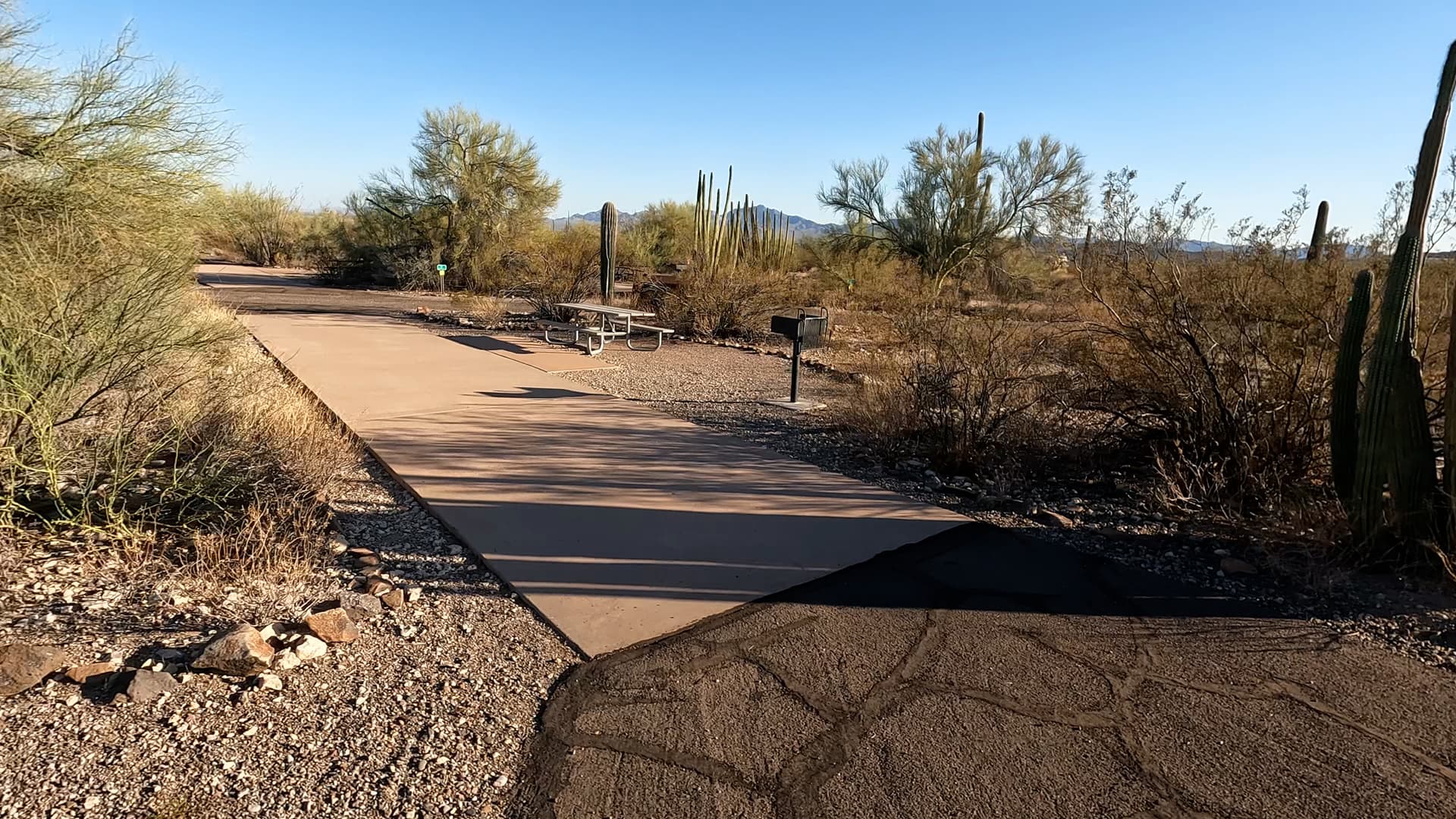 Site 64