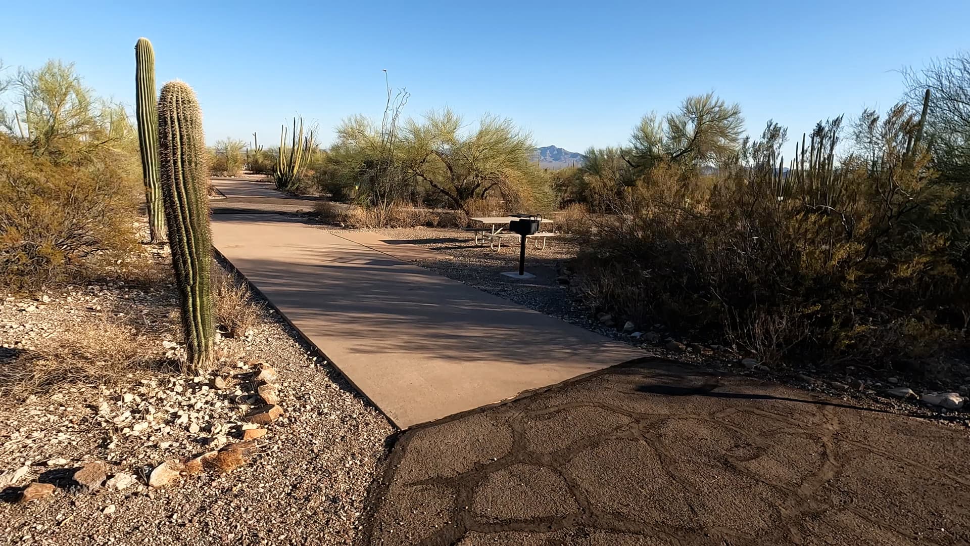 Site 65