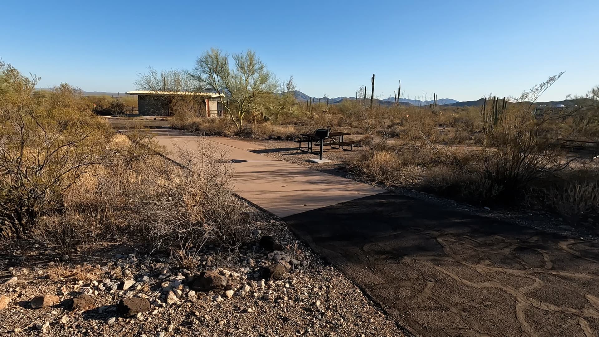 Site 74