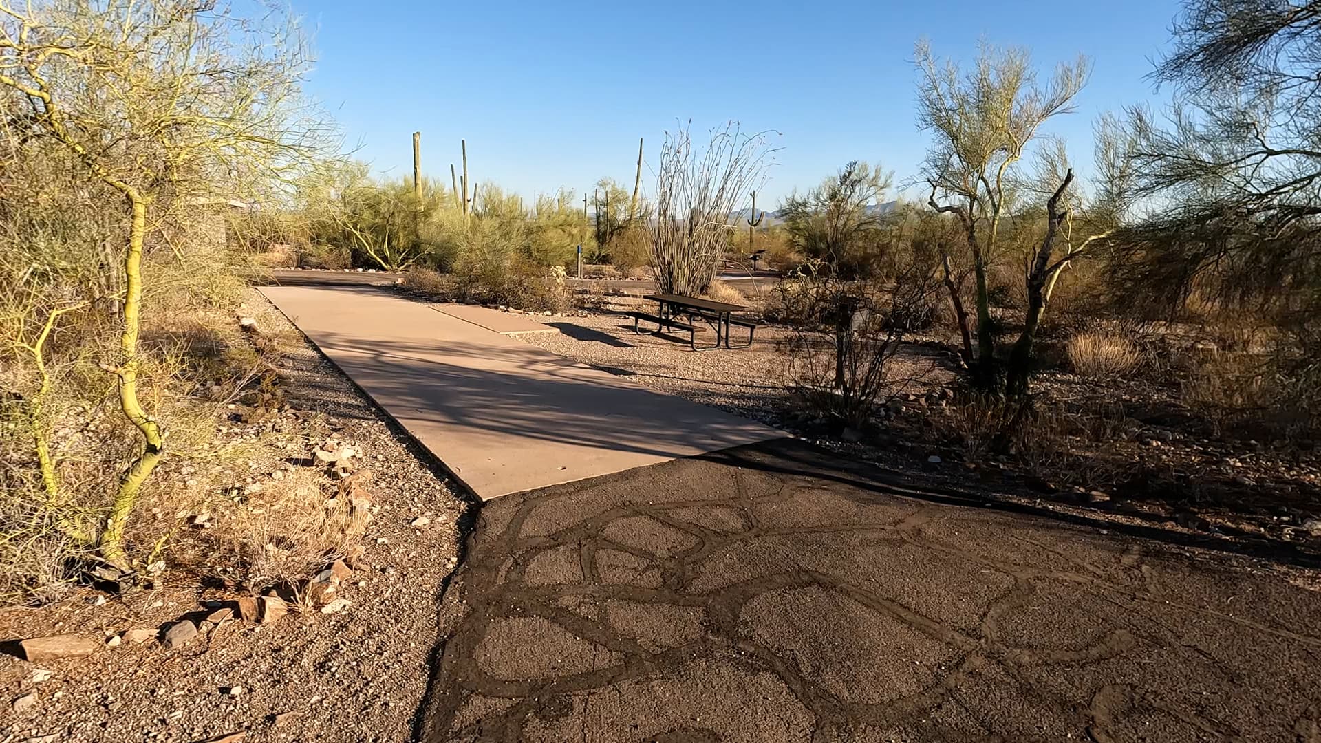 Site 82