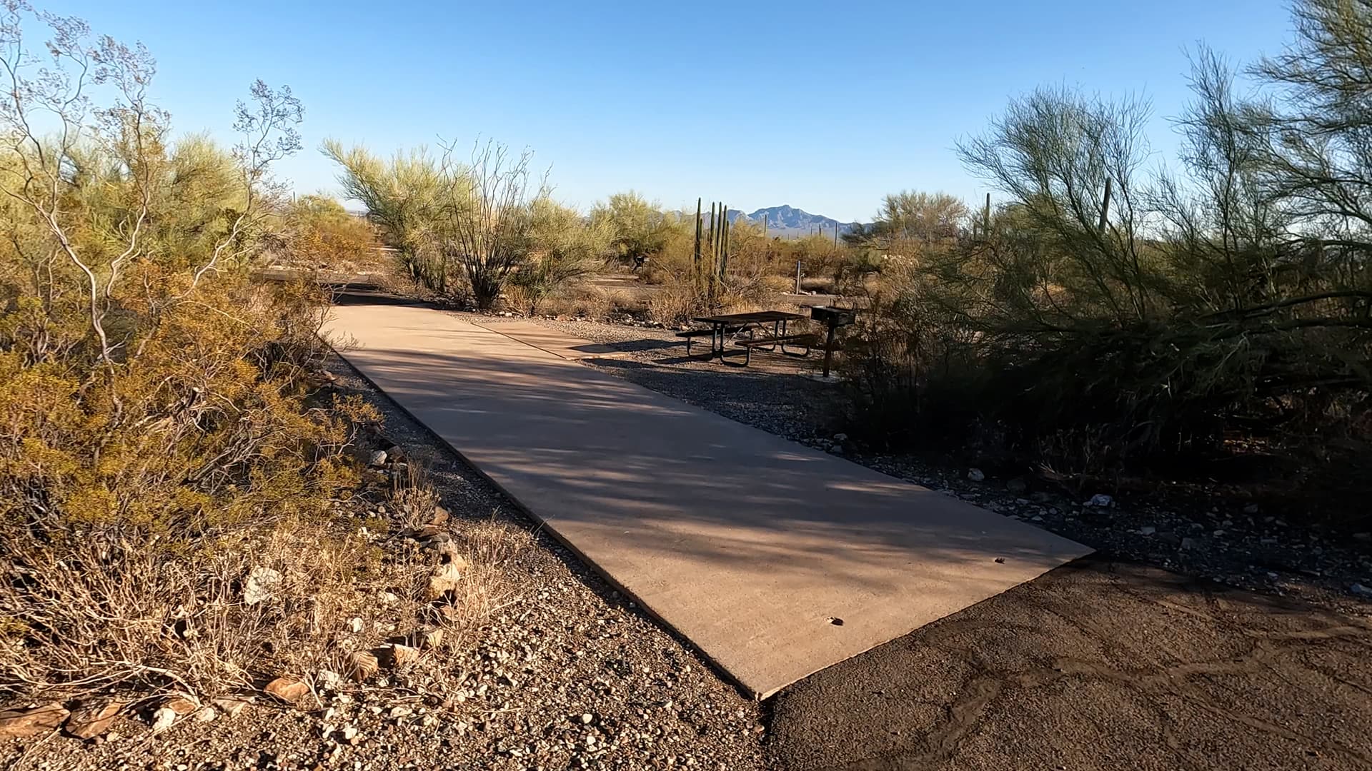 Site 79