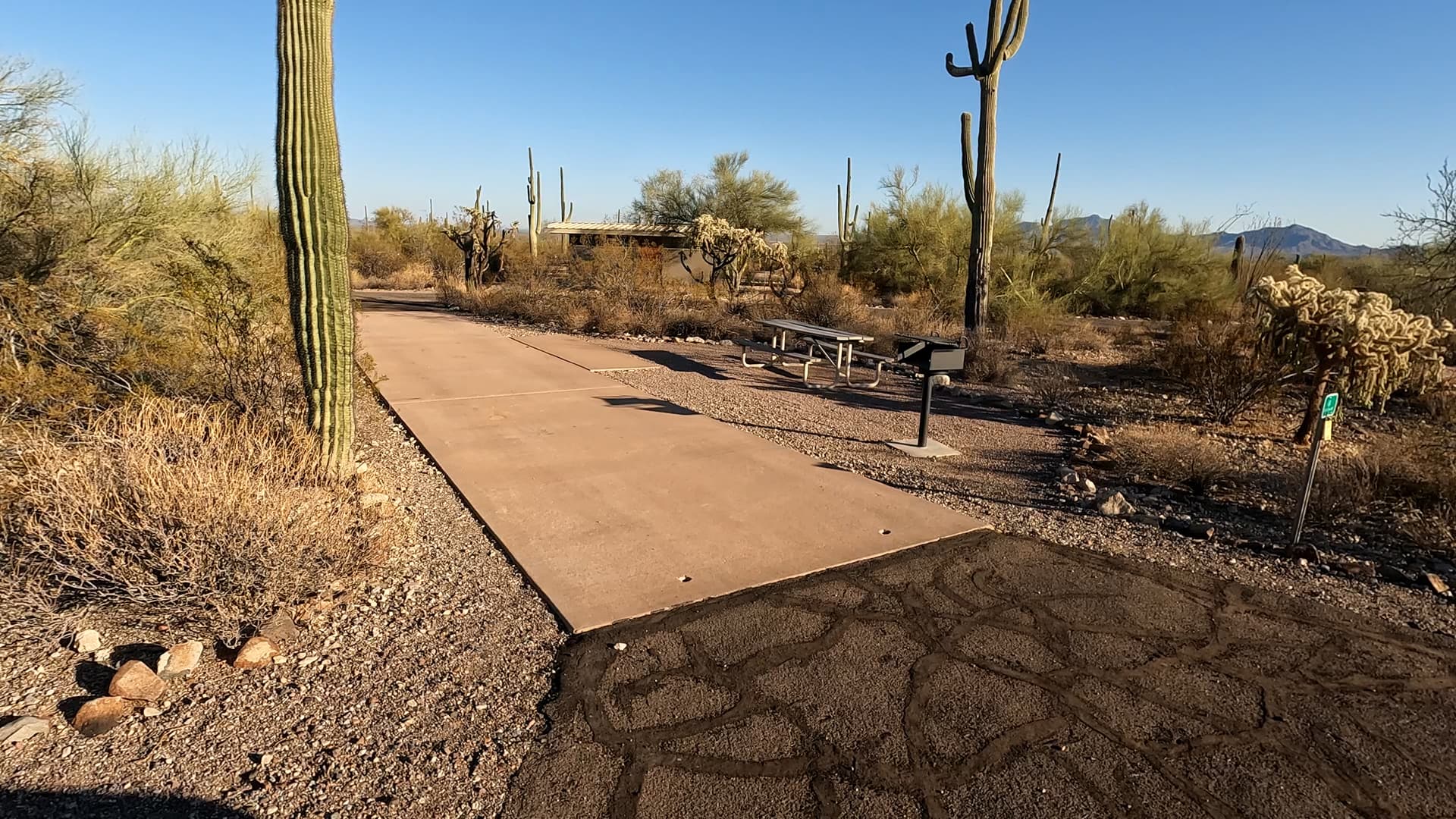 Site 83