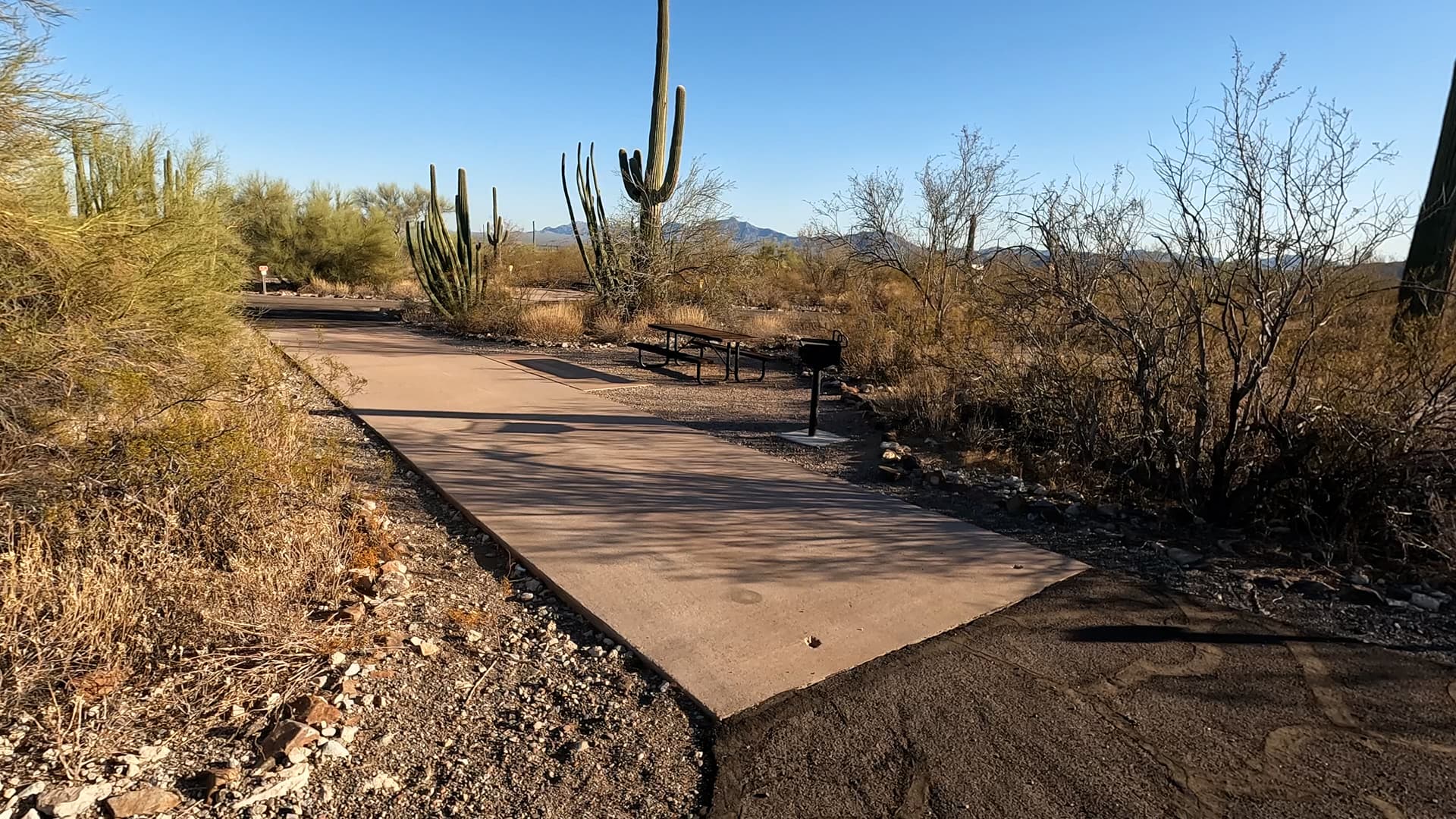 Site 77