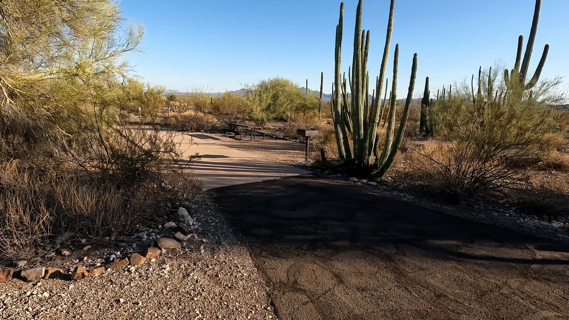 Site 78