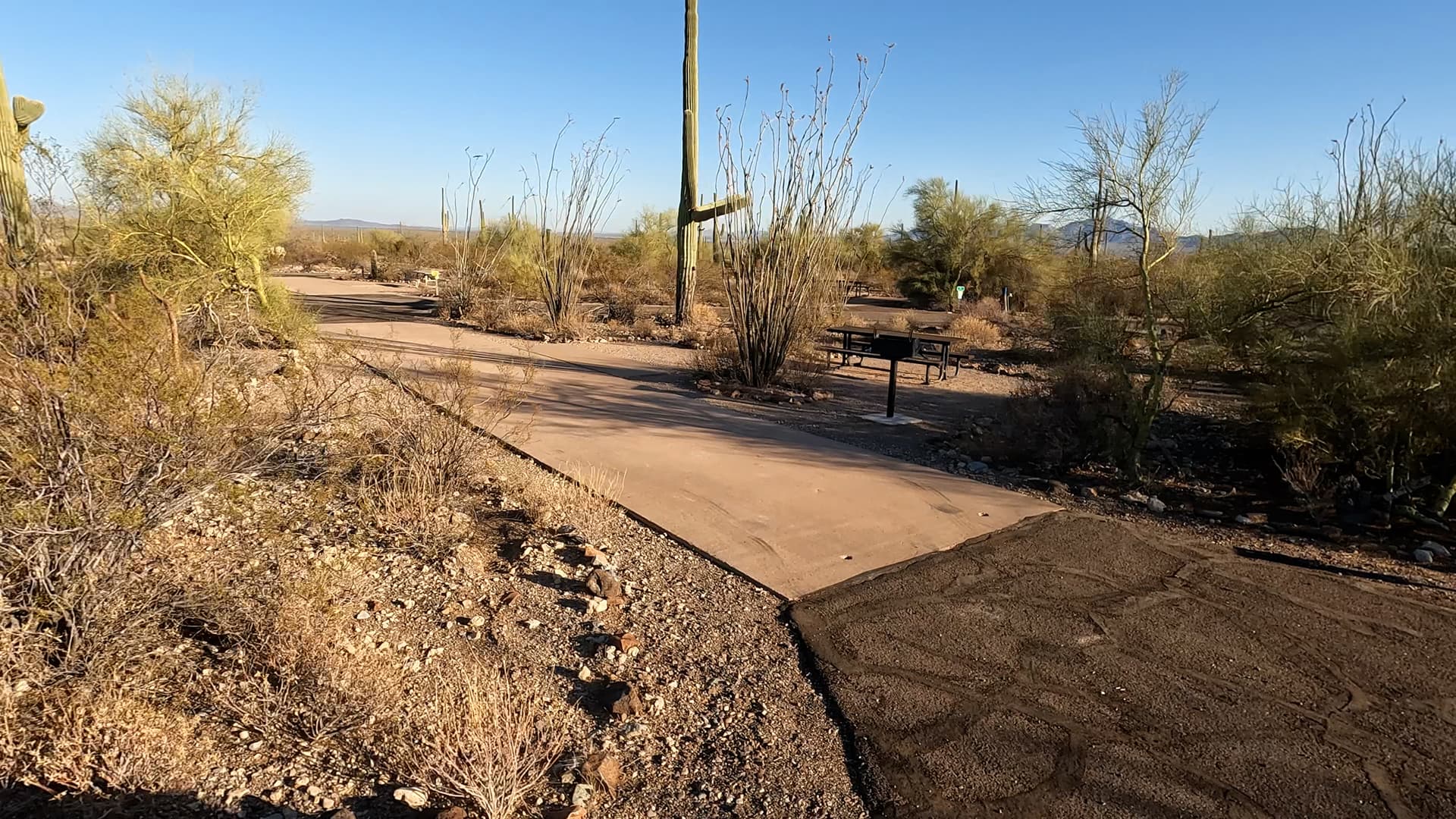 Site 85