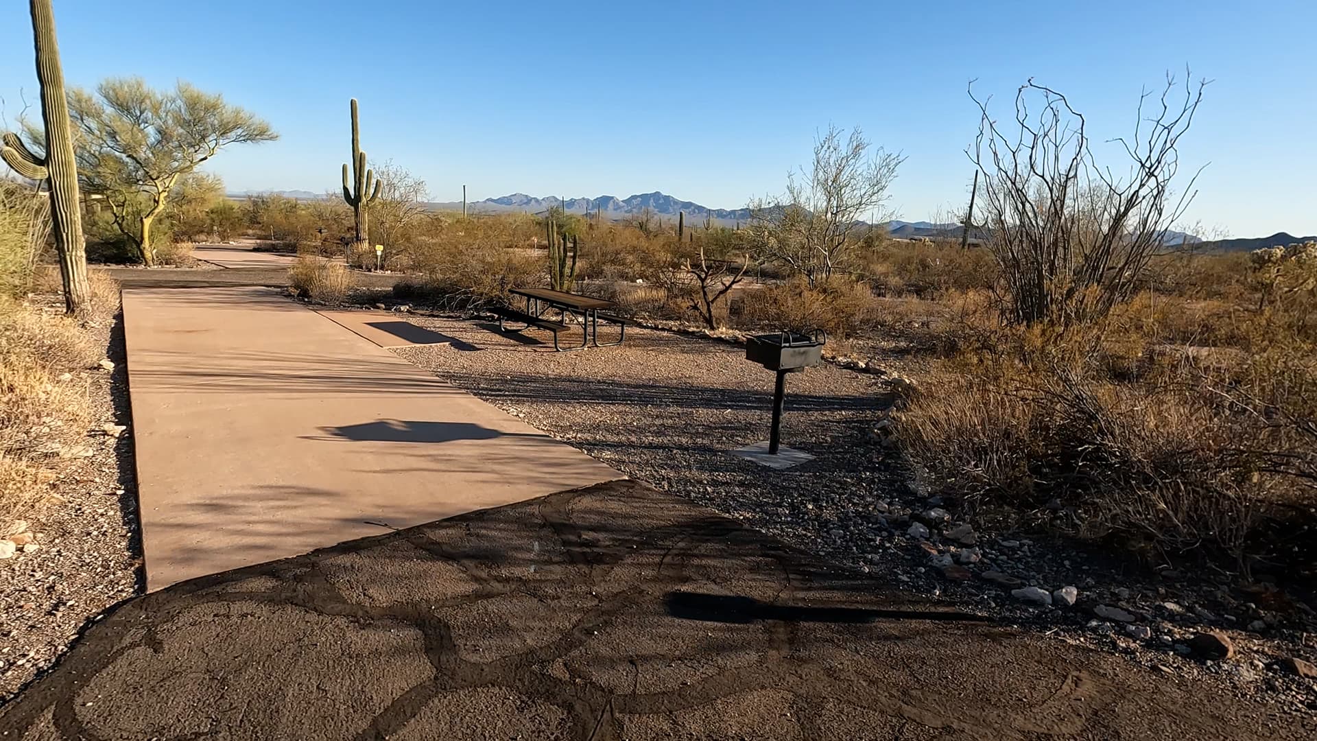 Site 89