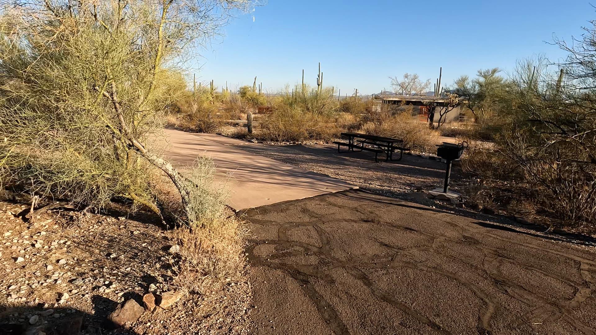 Site 84