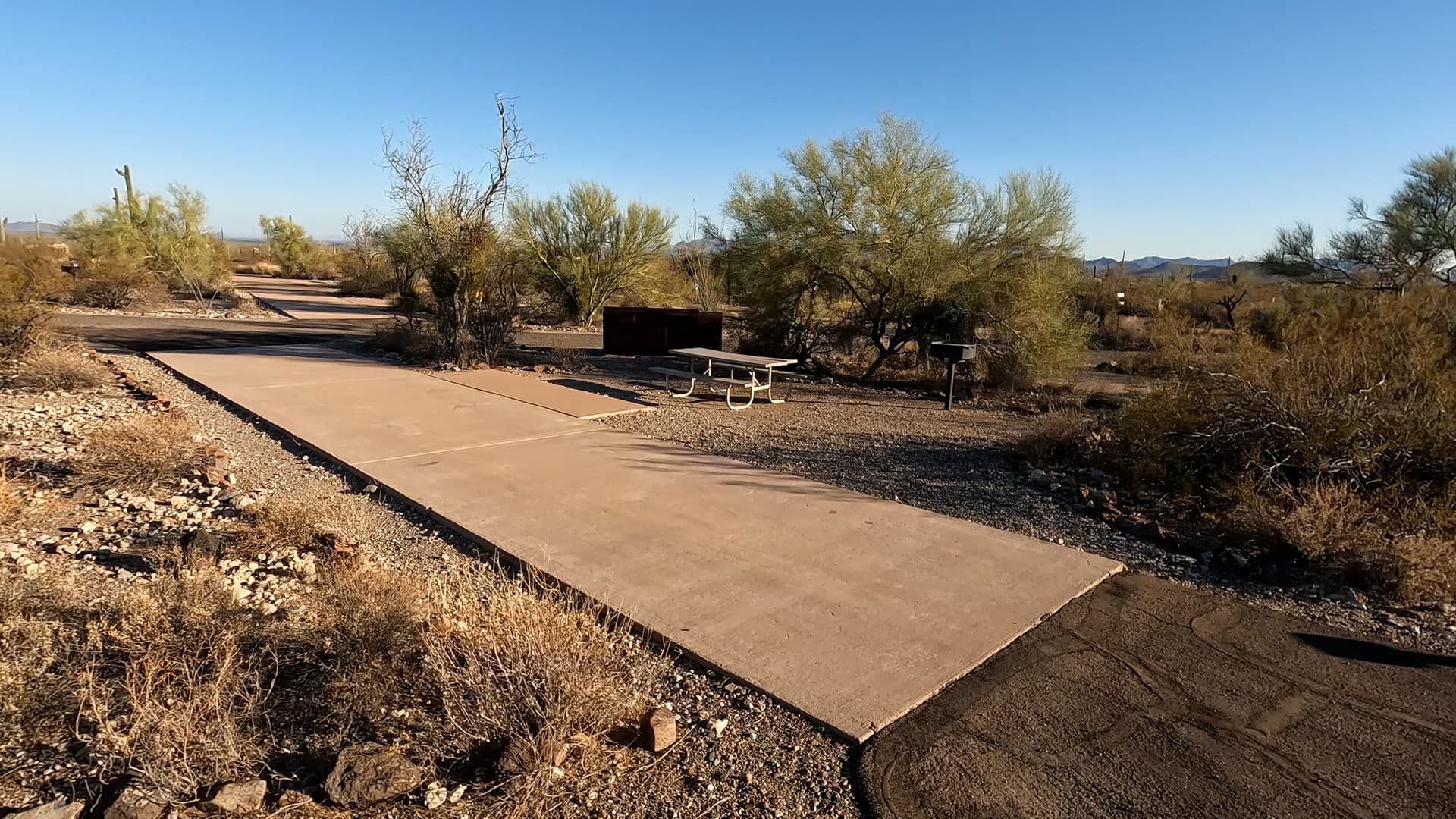 Site 91