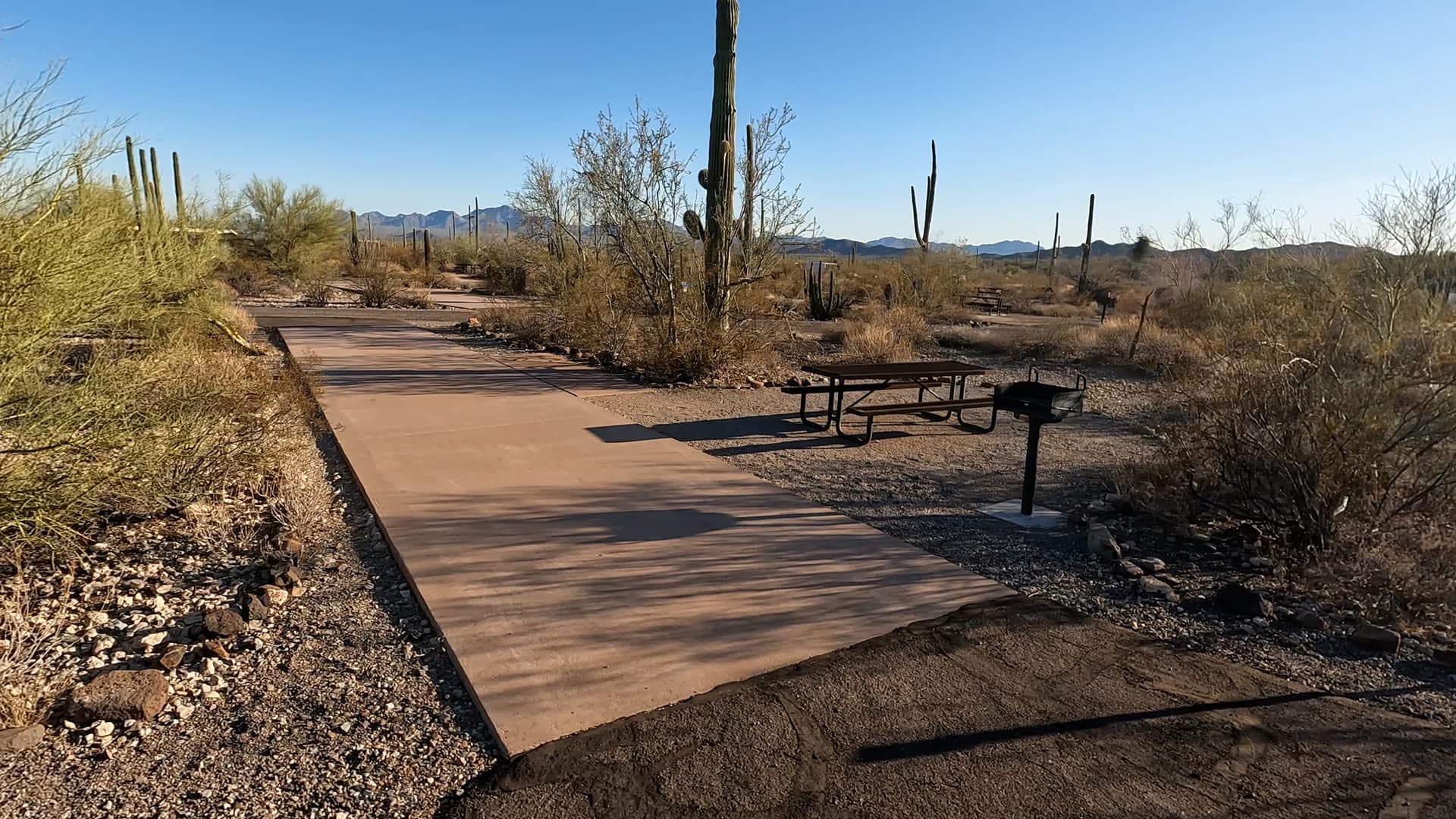 Site 98