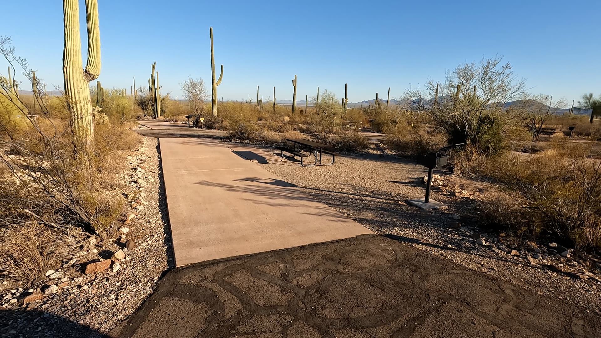 Site 109