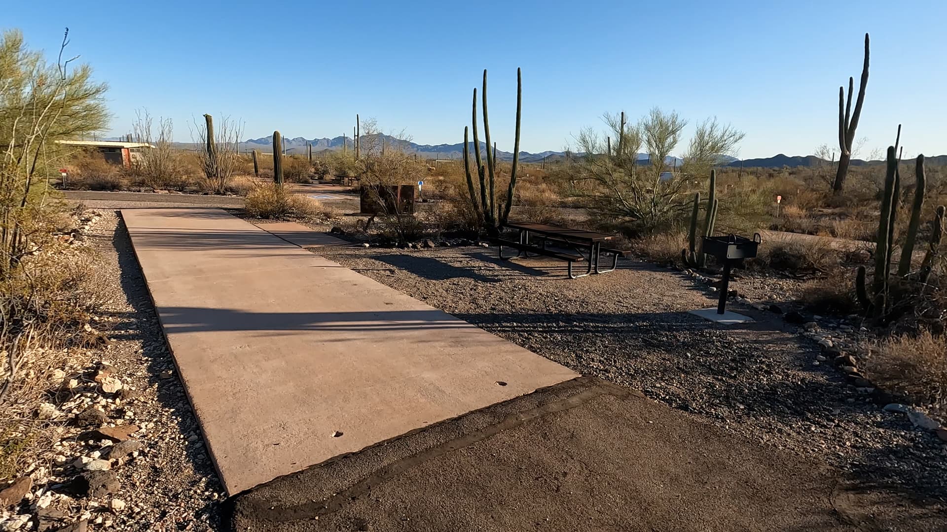 Site 115