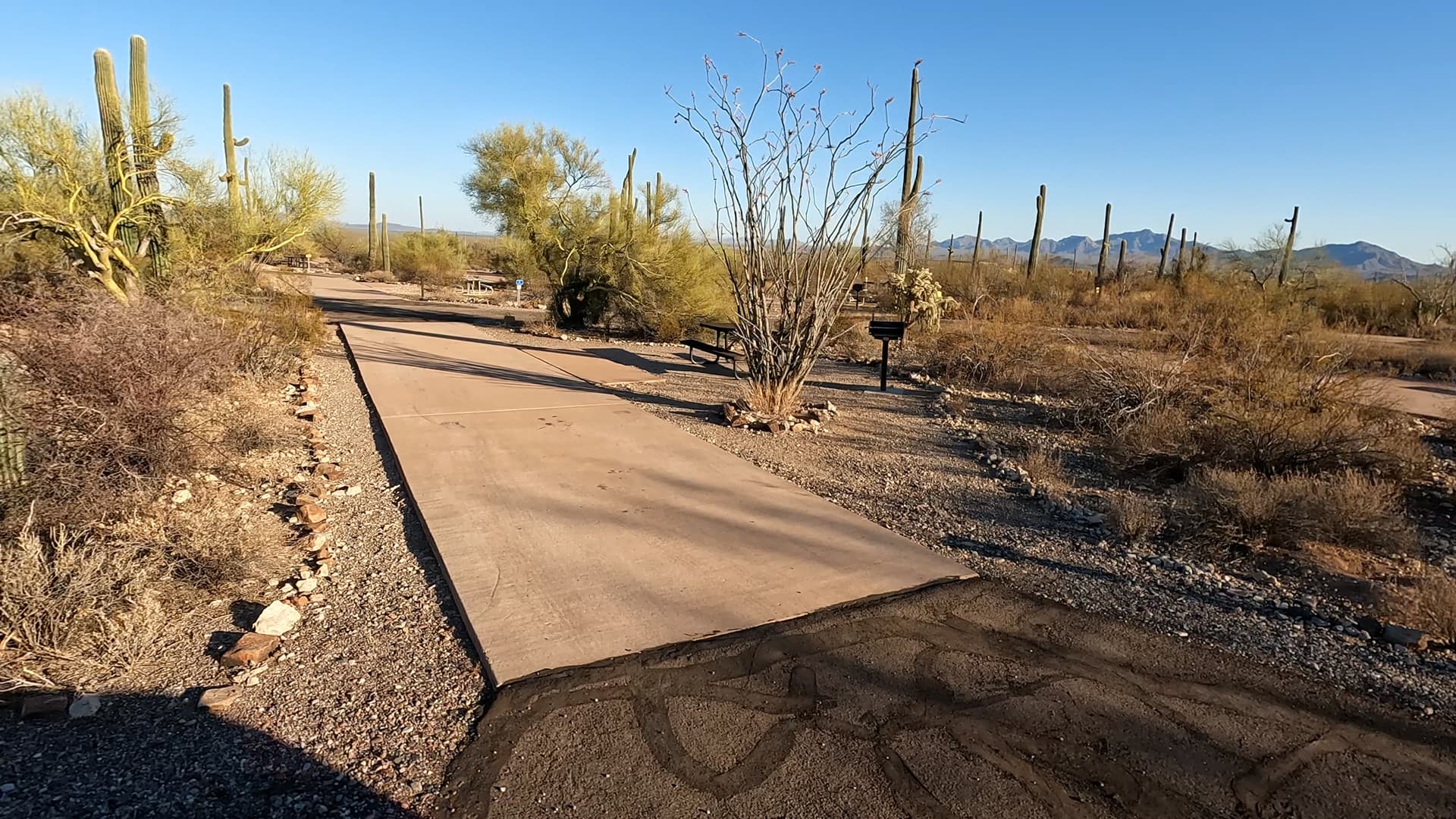 Site 110