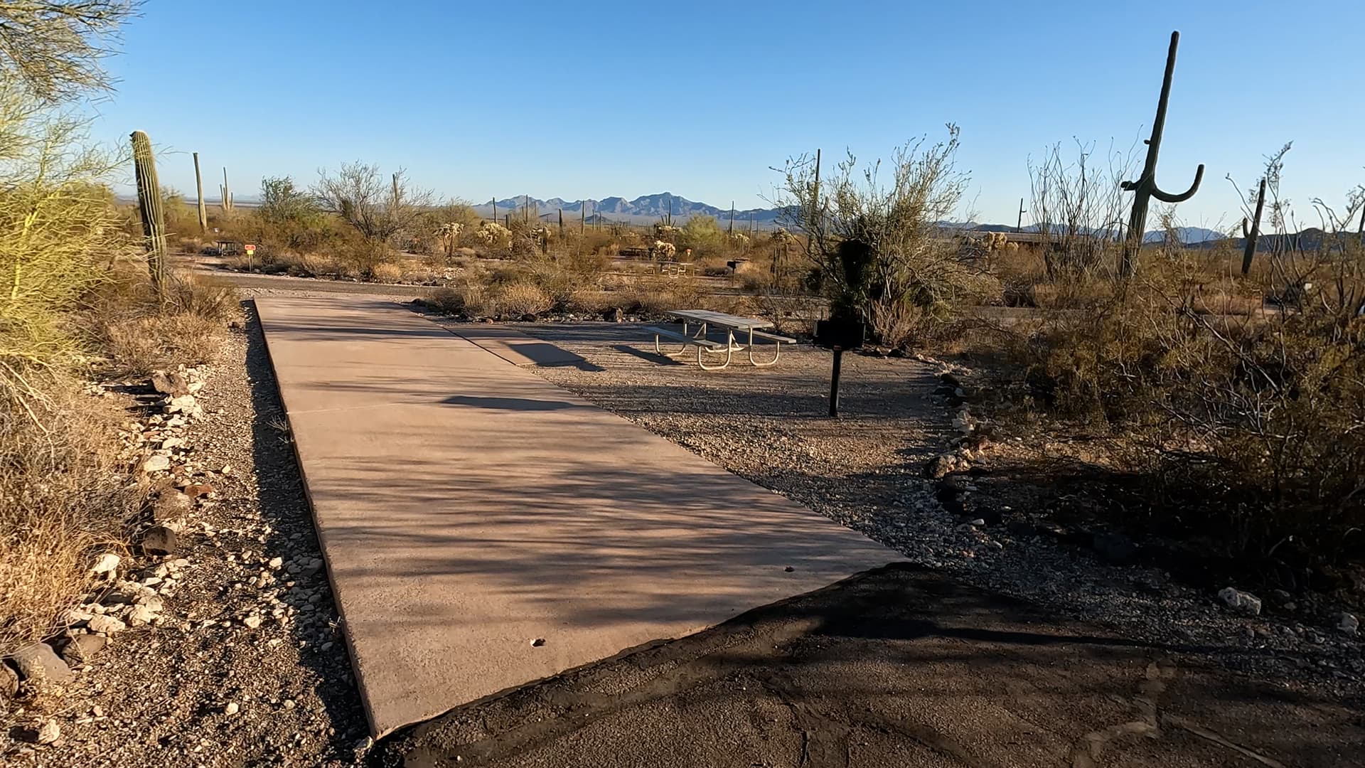 Site 118