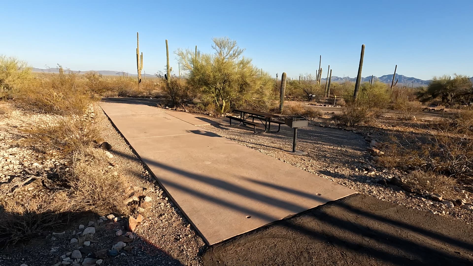 Site 128