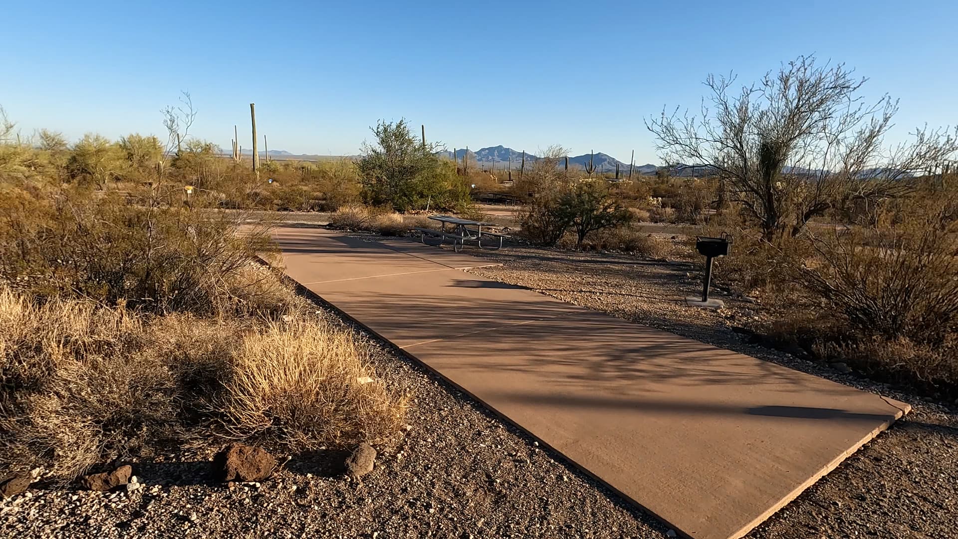 Site 135