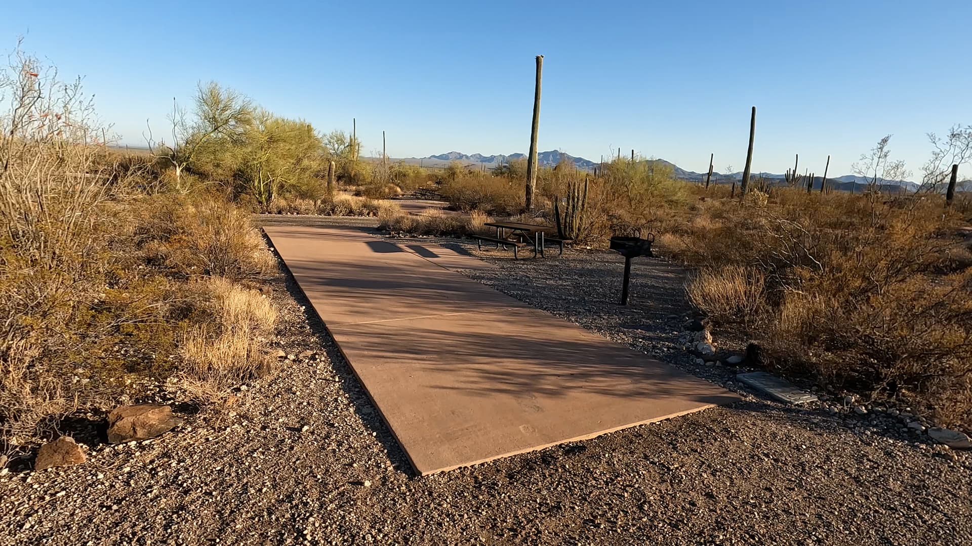 Site 151