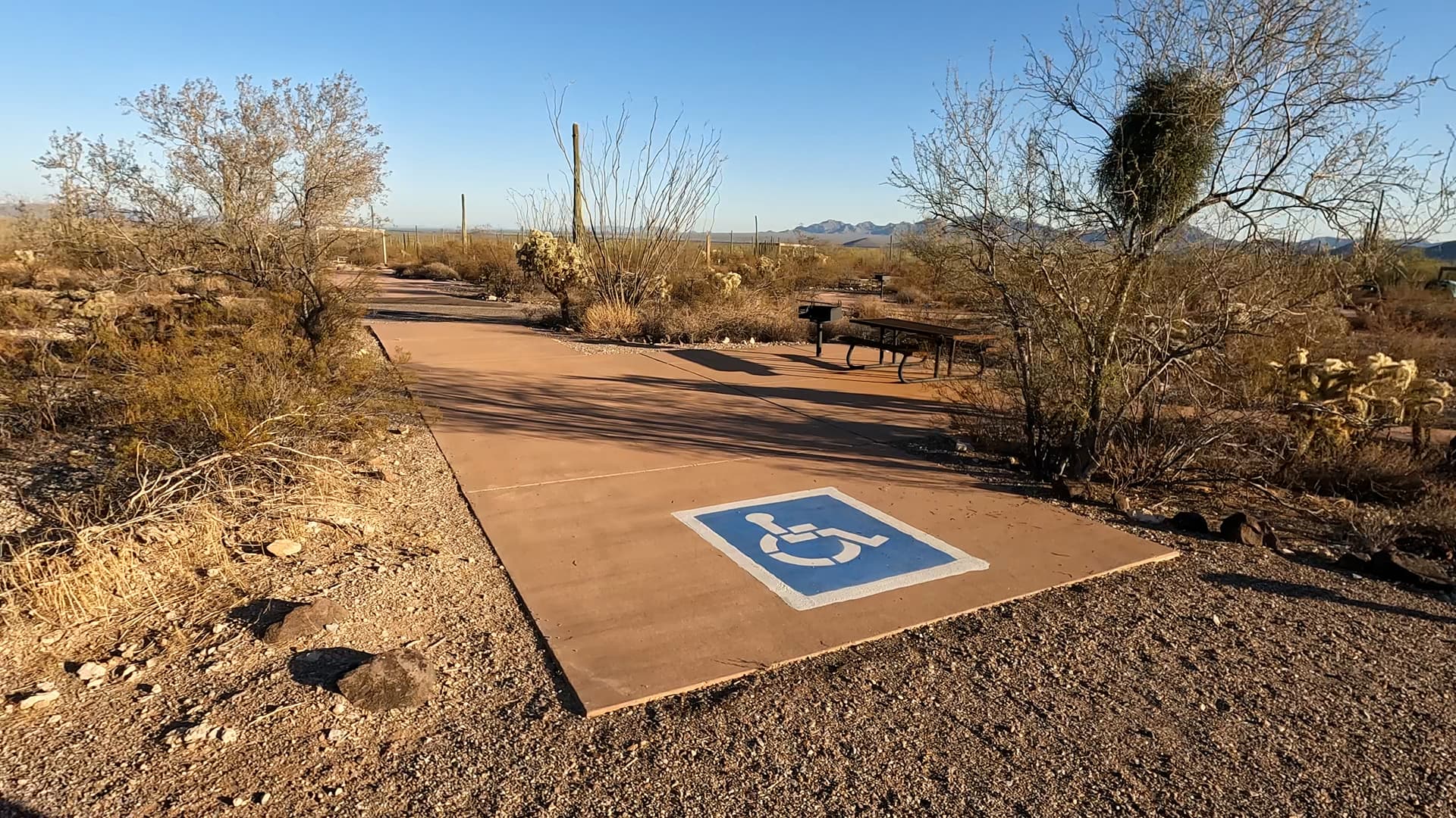 Site 153