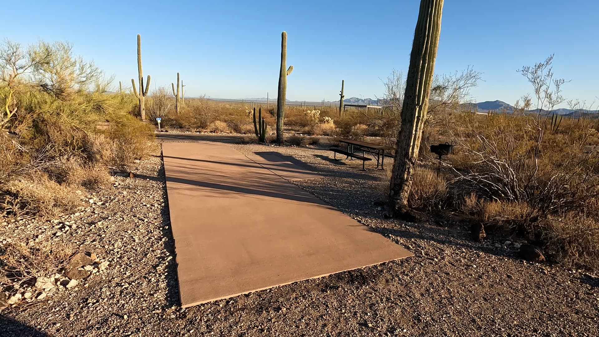 Site 155