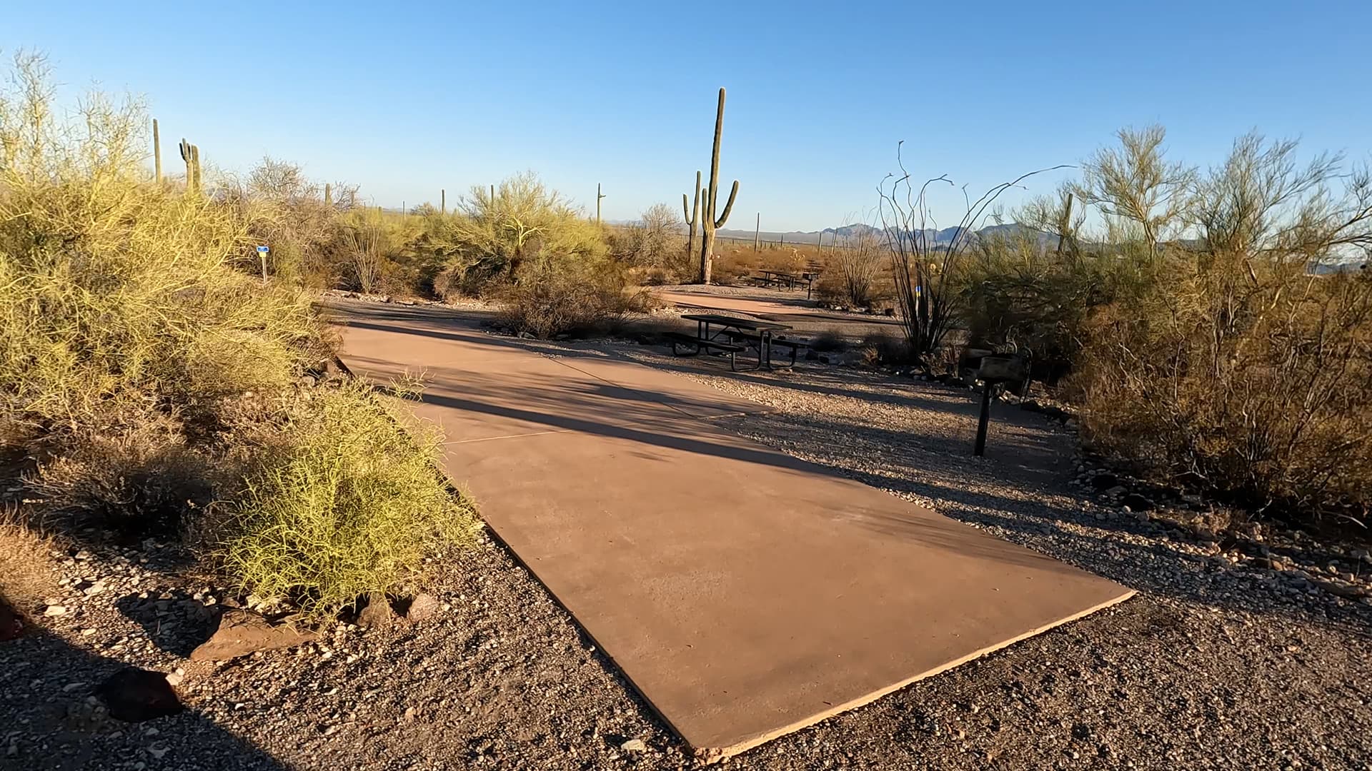 Site 156