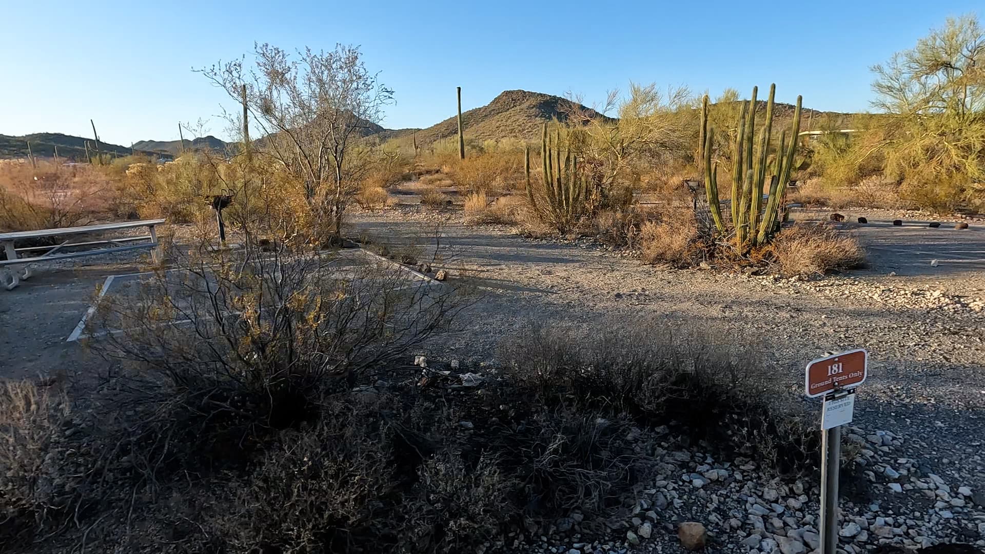 Site 181