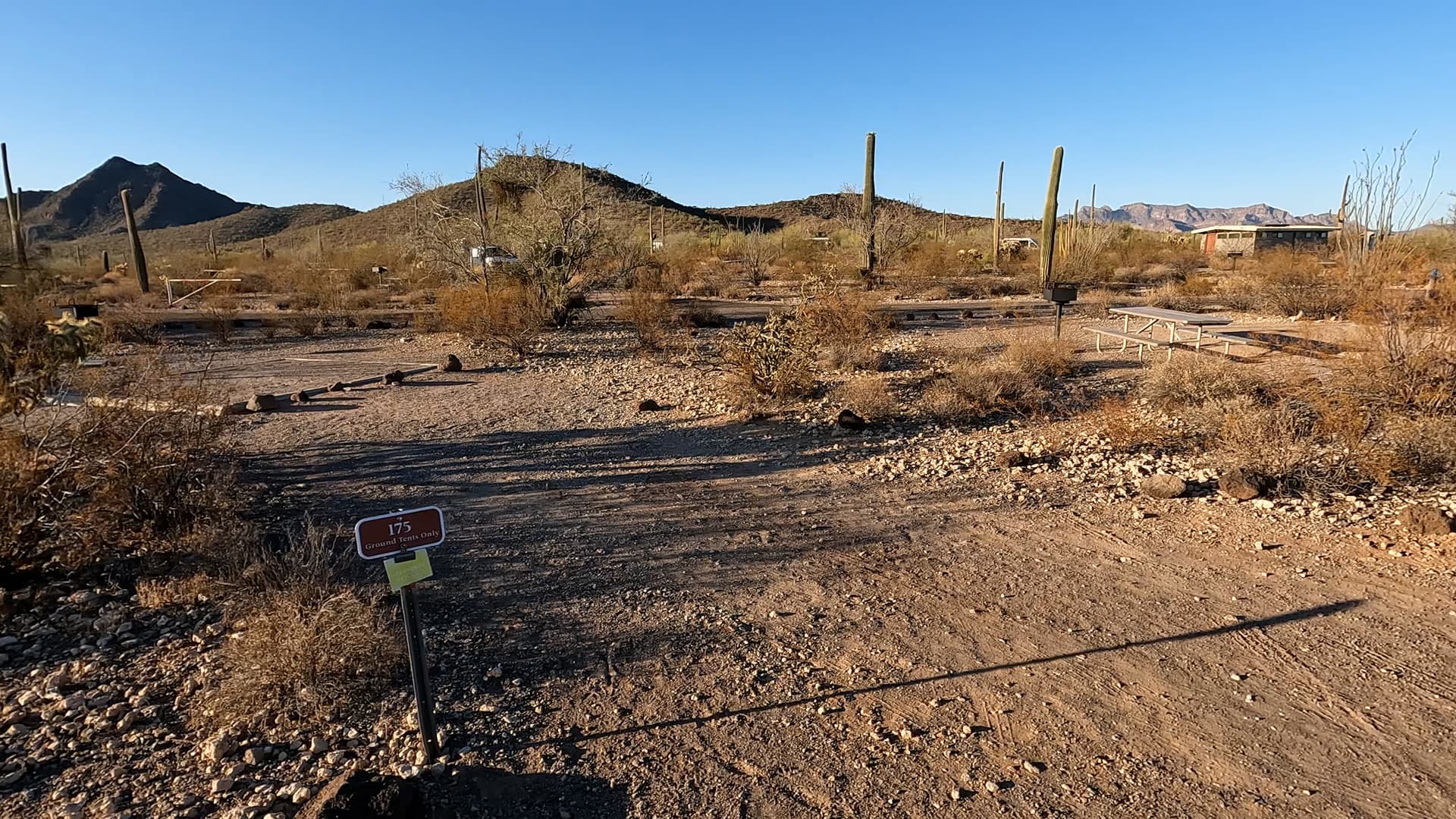 Site 175
