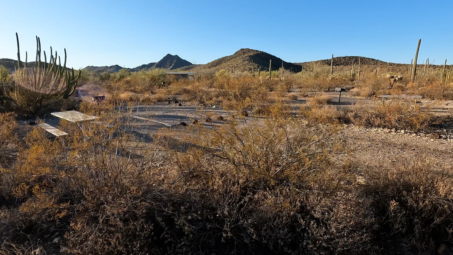 Site 184