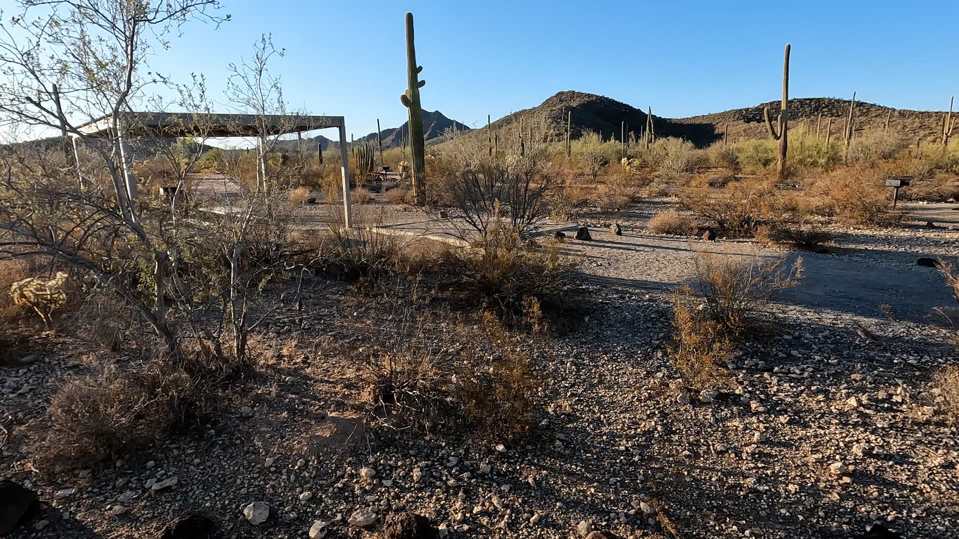 Site 187