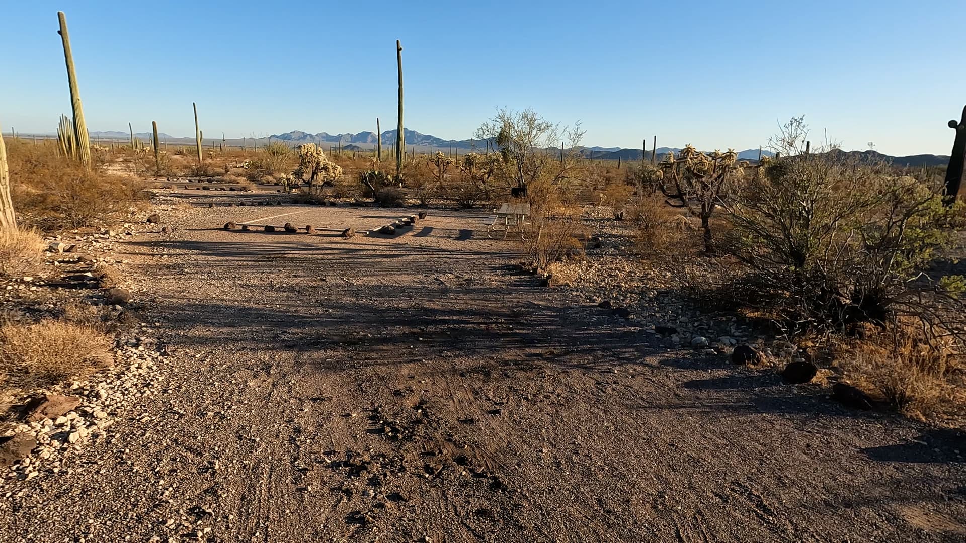 Site 194