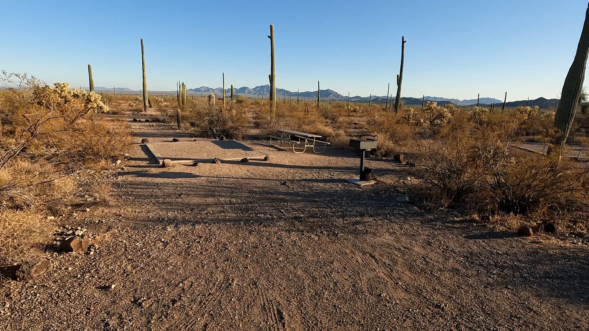 Site 195