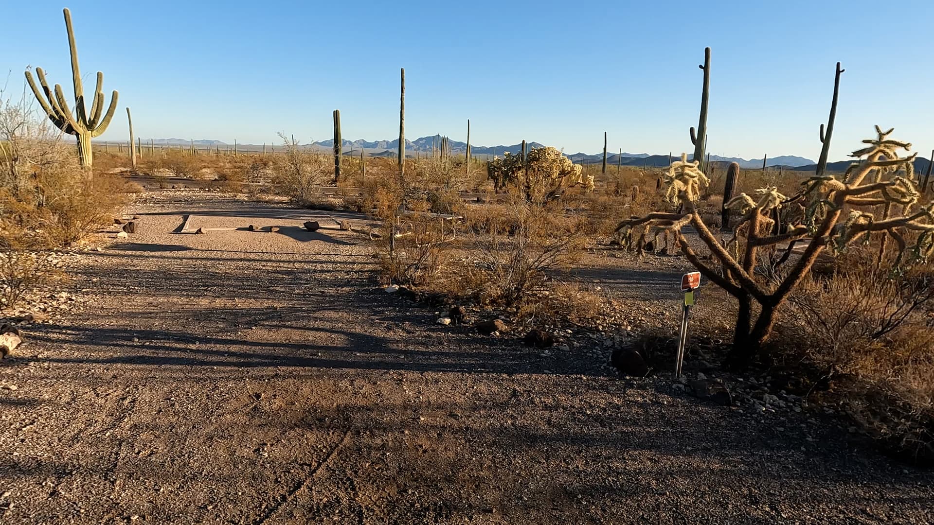 Site 196