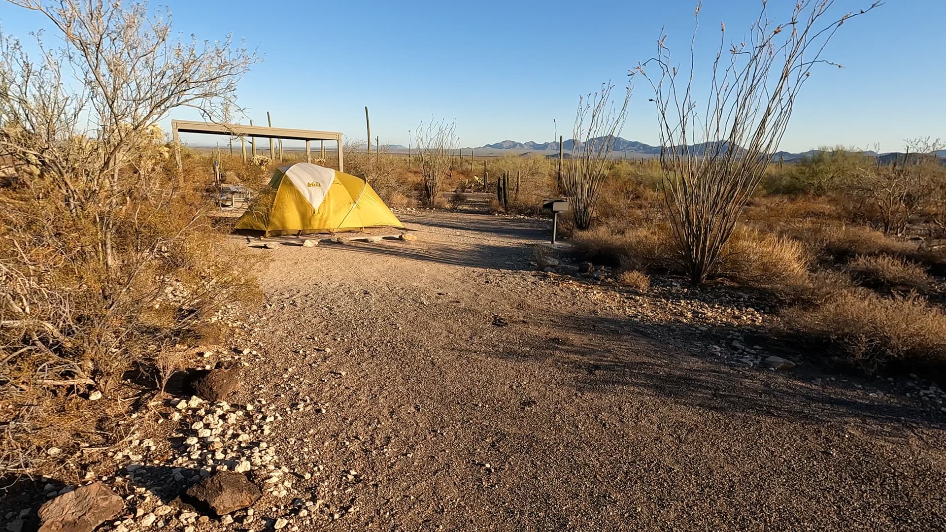 Site 203