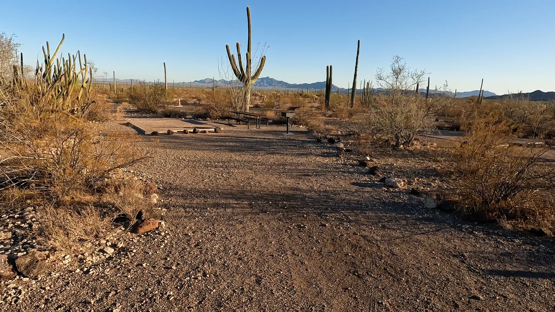 Site 197