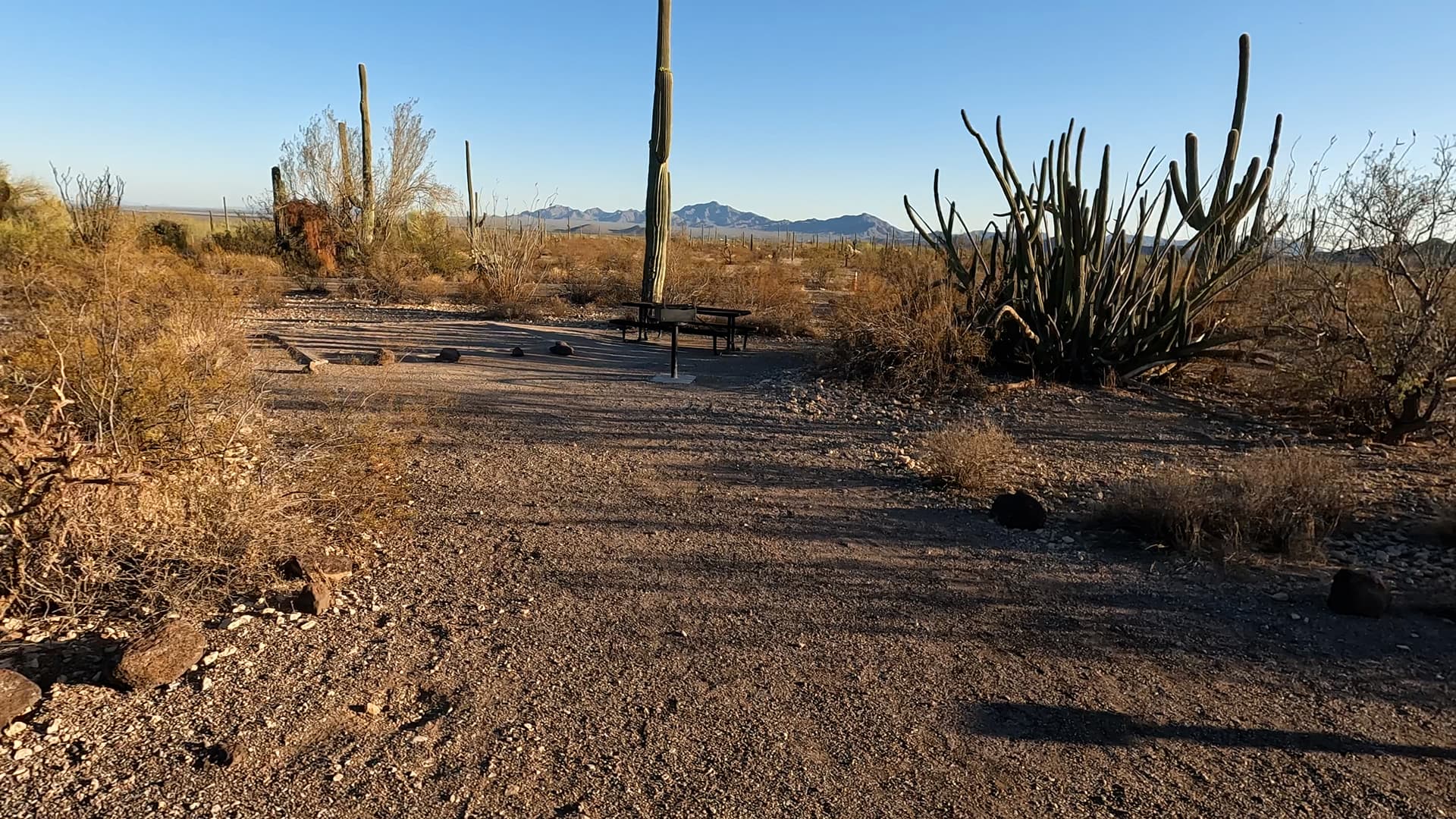 Site 198